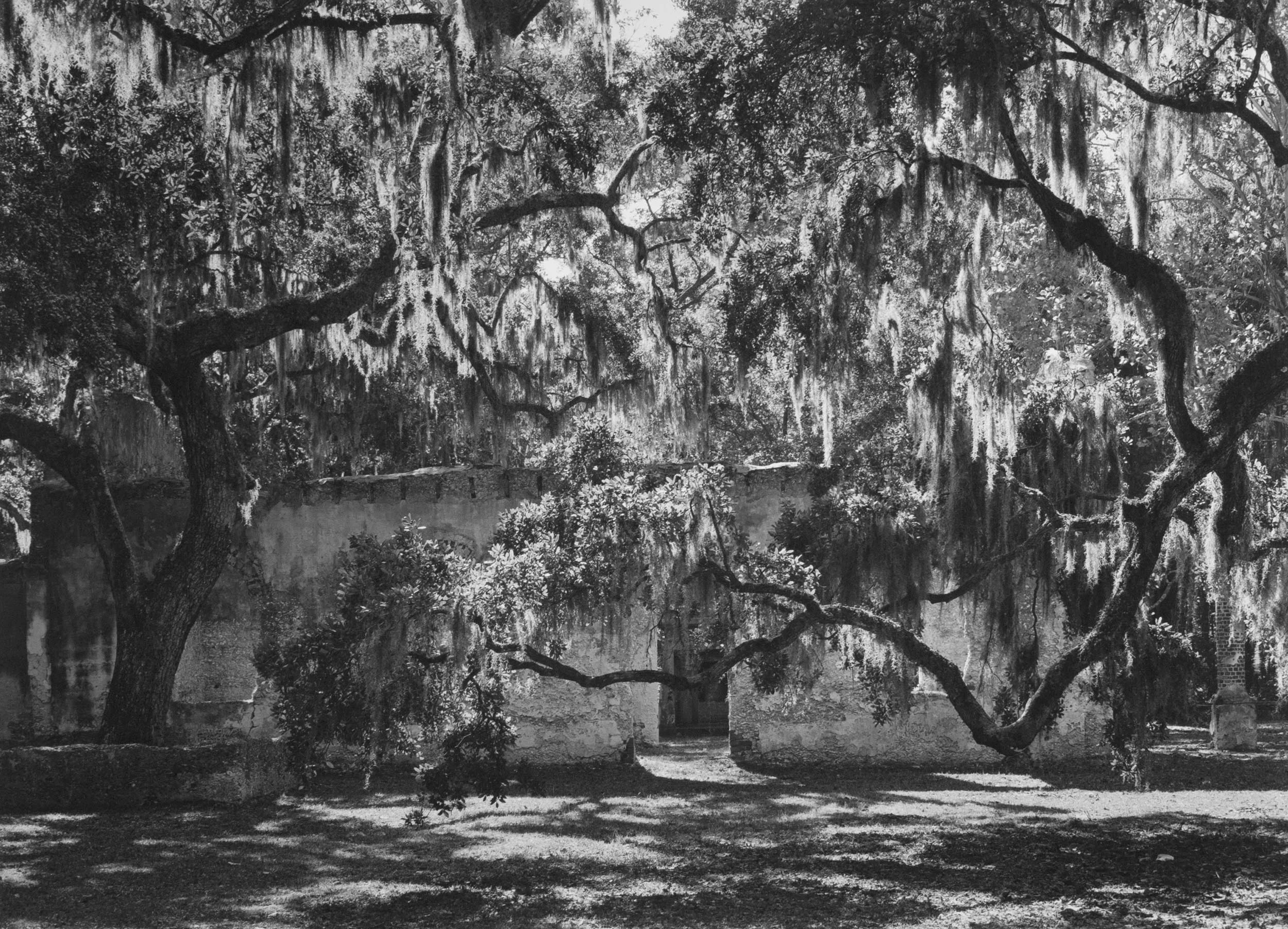 Chapel of Ease, SC, 2001