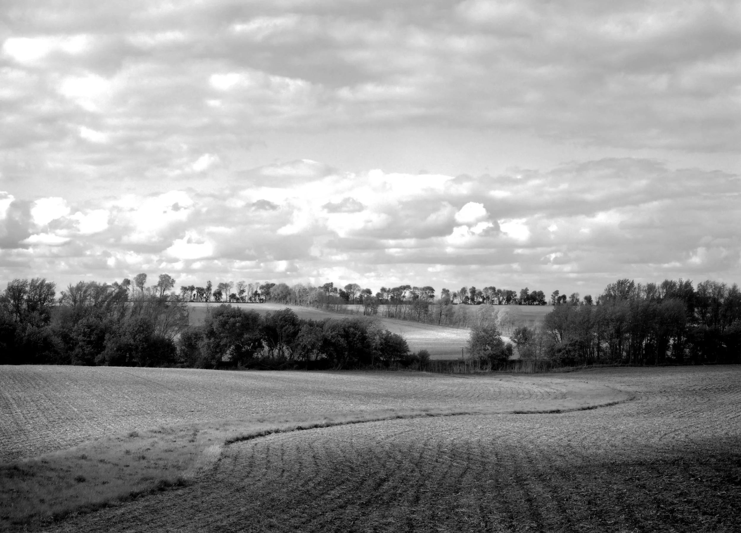 Spring Landscape #2, IL, 2006