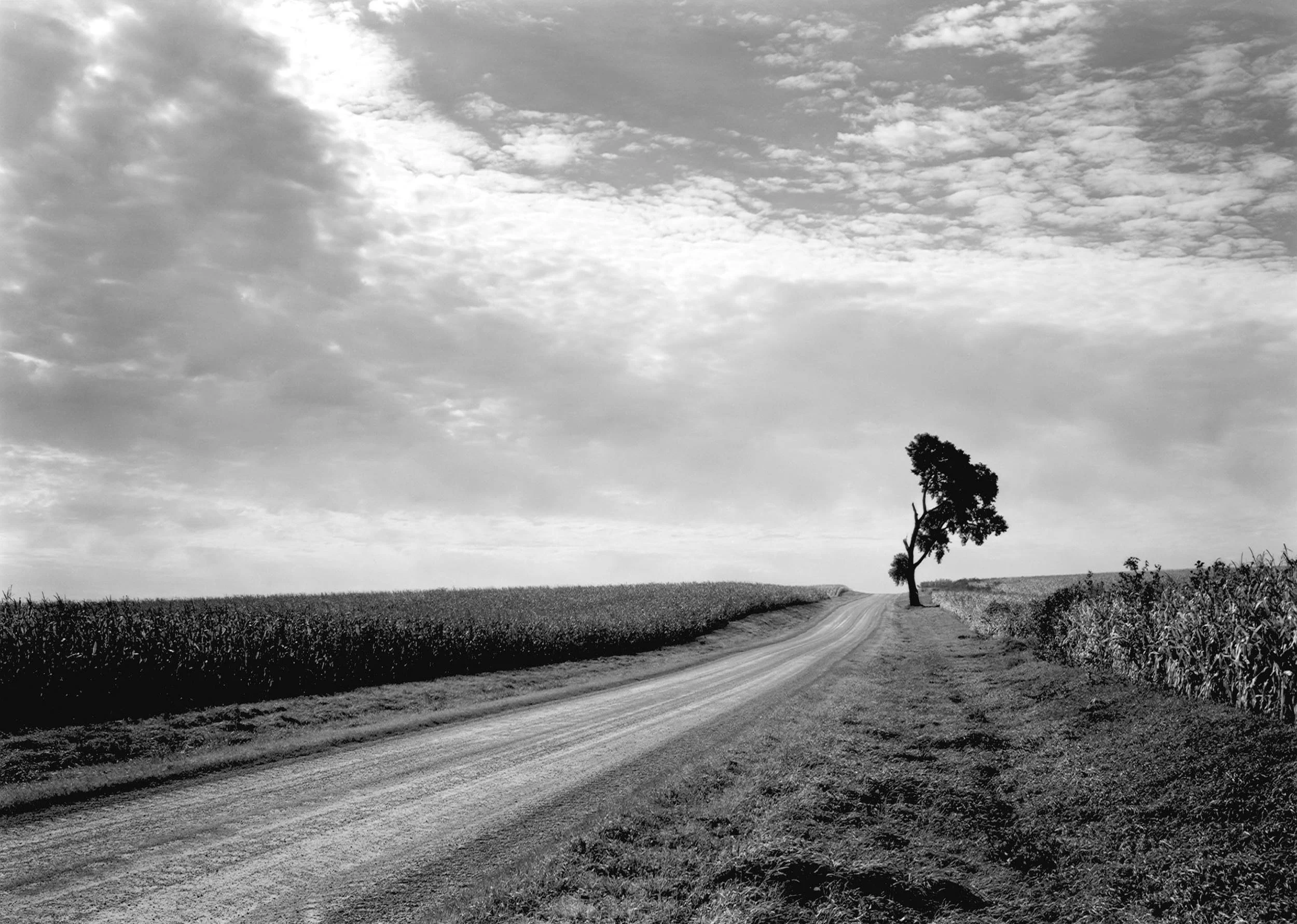 Big Hill Road, IL, 2000