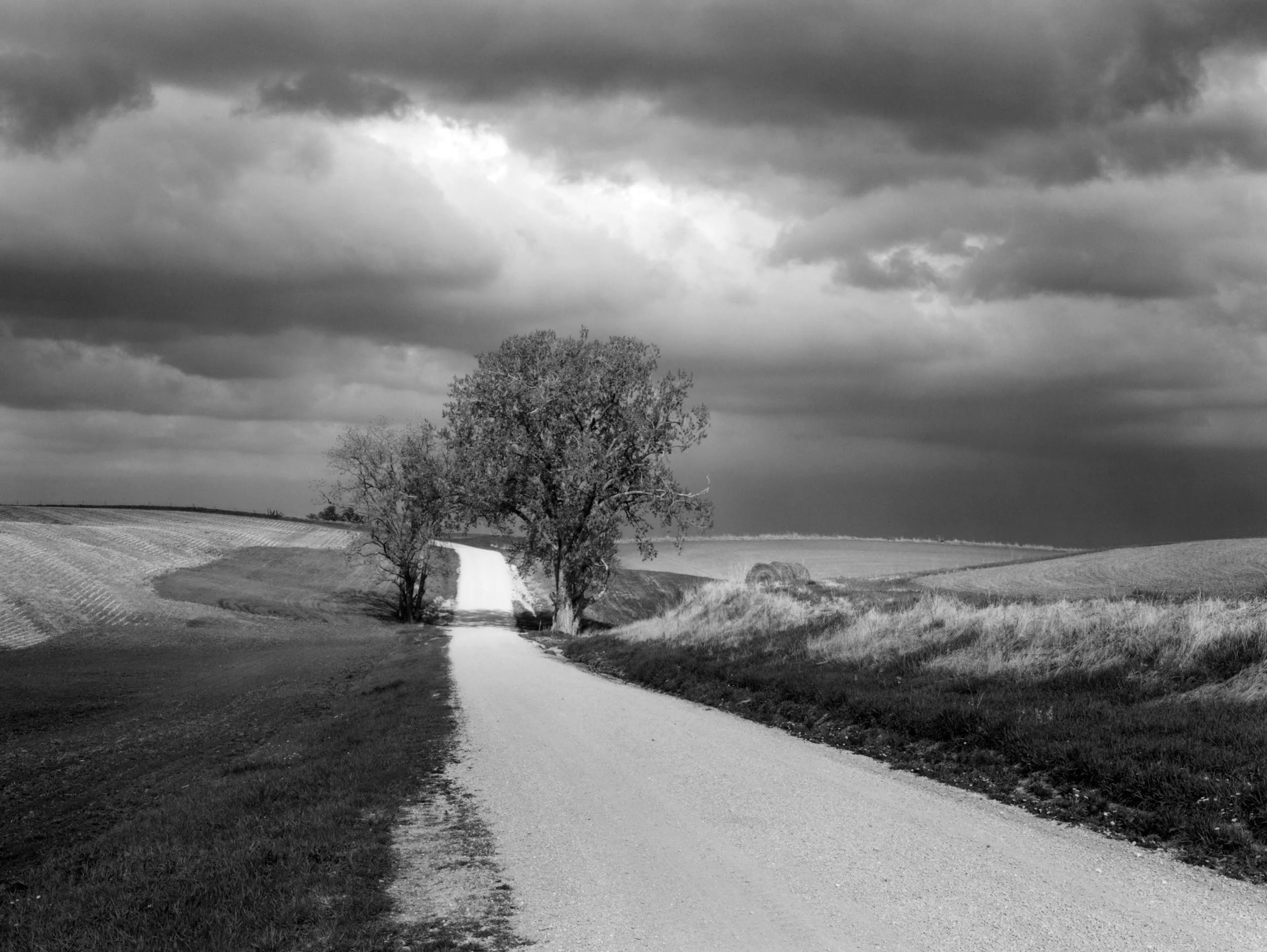 Thomson Road, IL, 2009