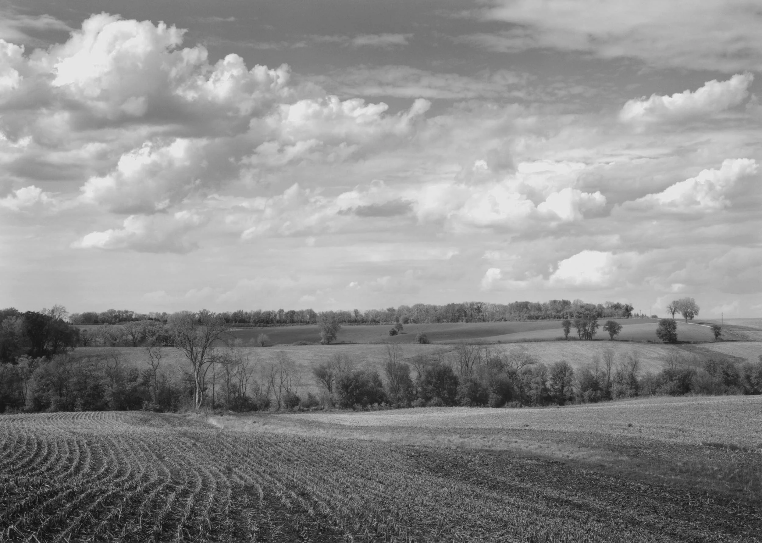 Vinegar Hill Landscape, IL, 2009