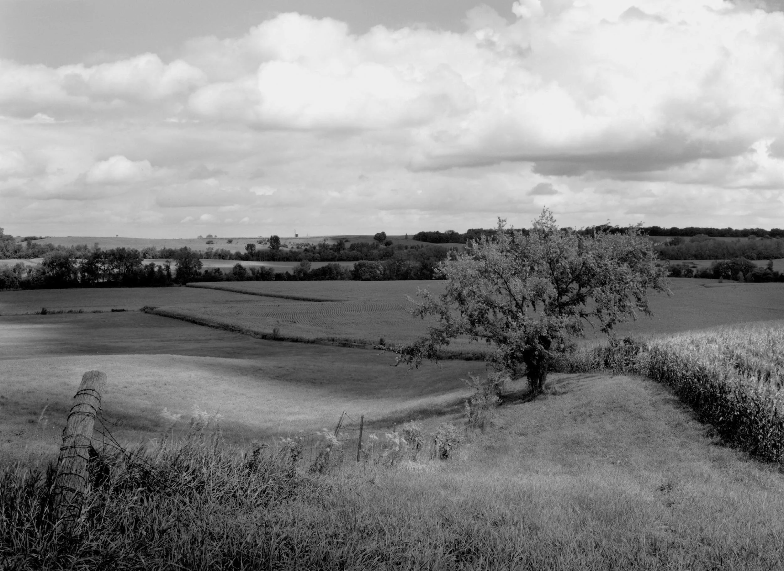 Fencepost and Tree, IL, 2007