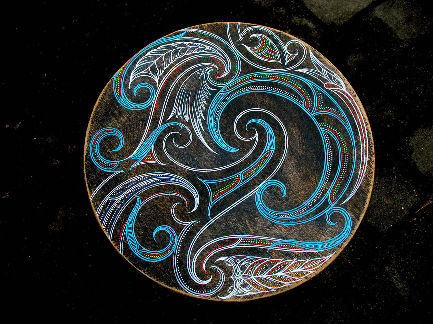 Kahu-by-Tony-Harrington