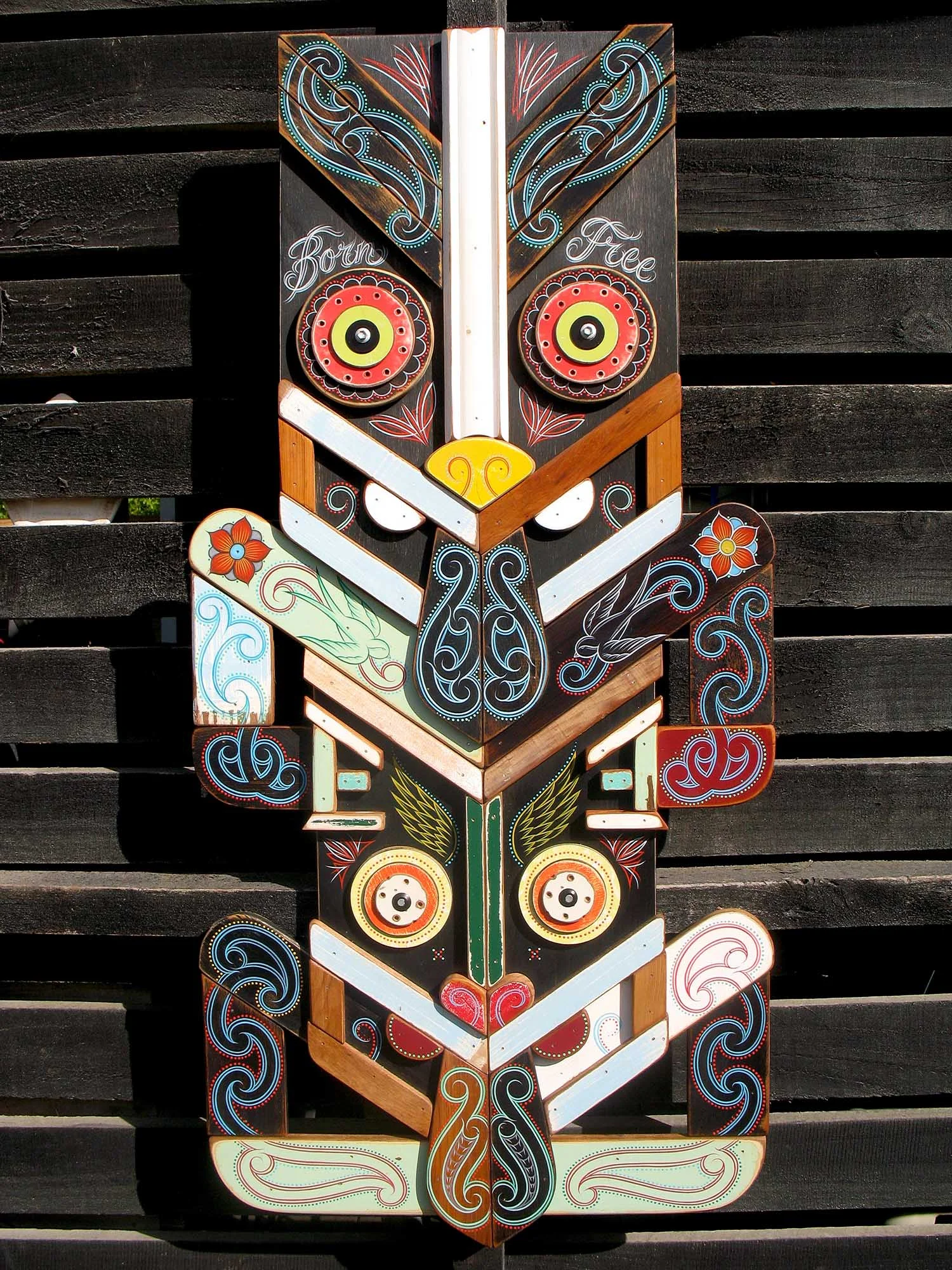 pukana-8-born free-by-Tony-Harrington.jpg