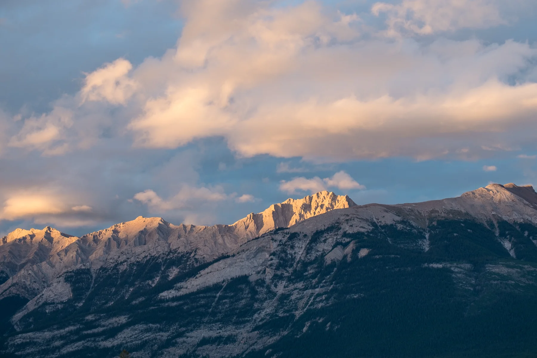 DSCF8062.jpg