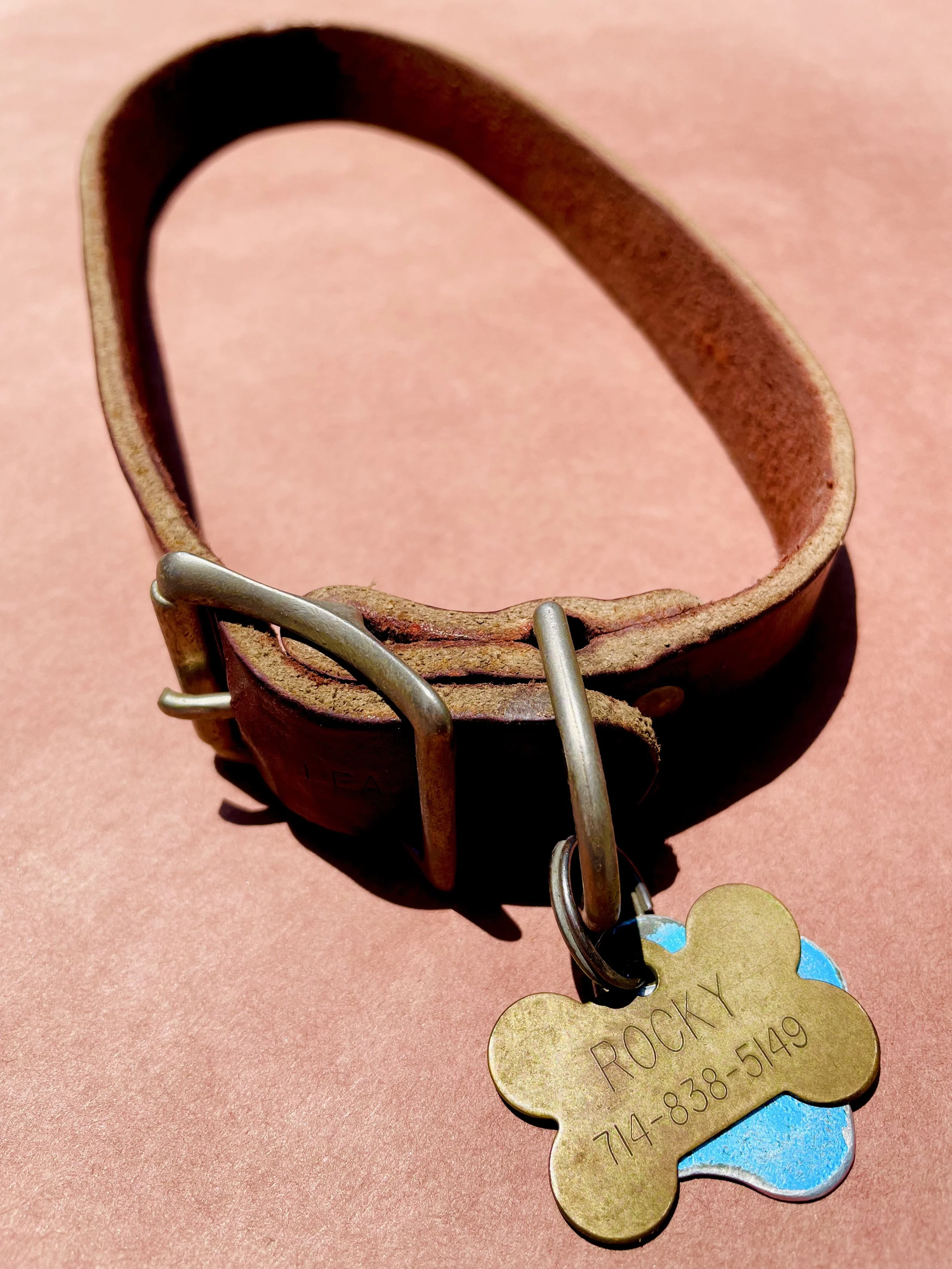 Lisa Vining "El collar de Rocky" 