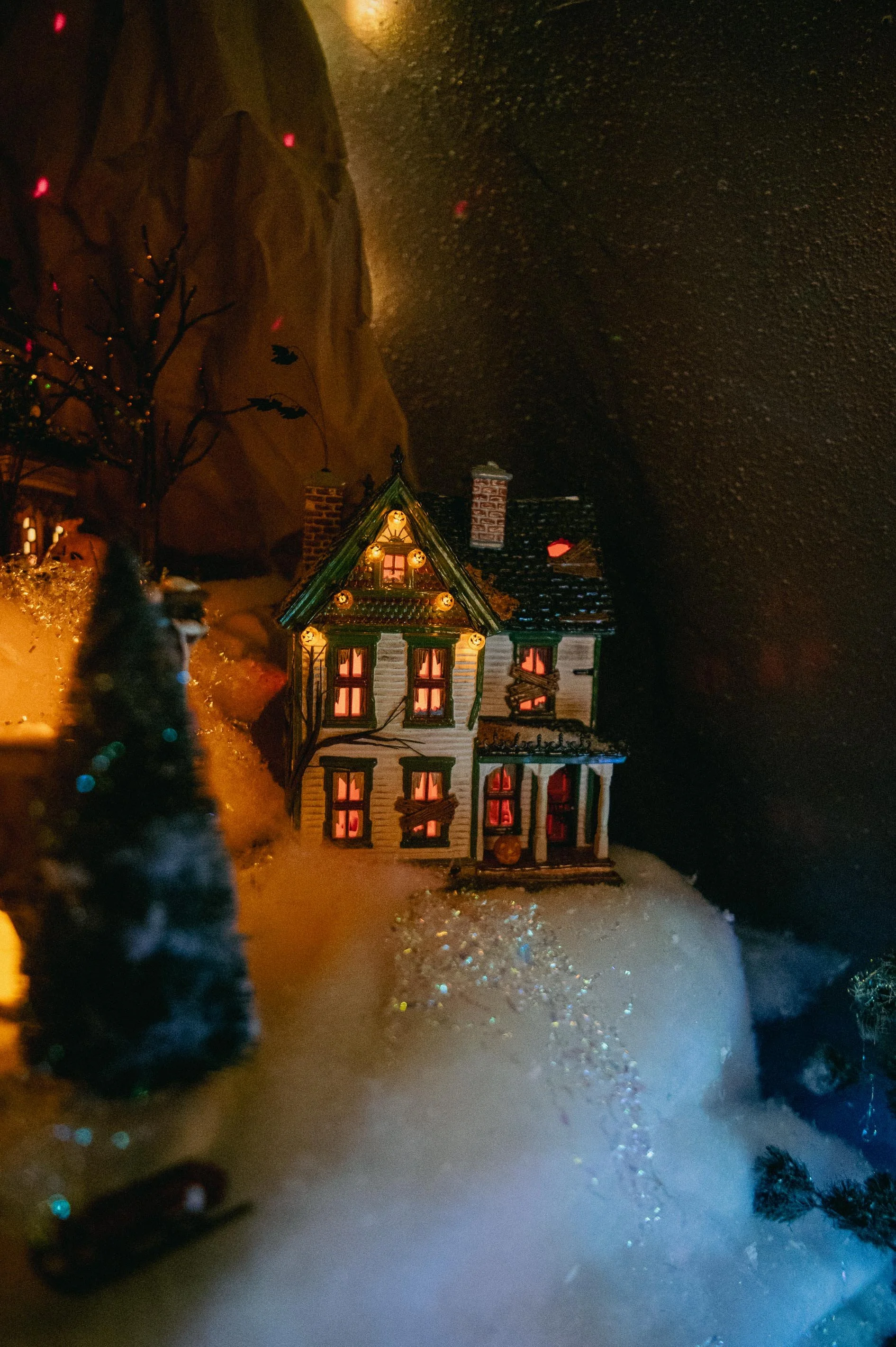 DSC_1024.jpg