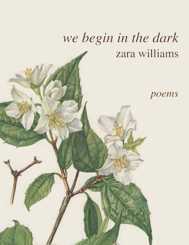 we begin in the dark copy.png
