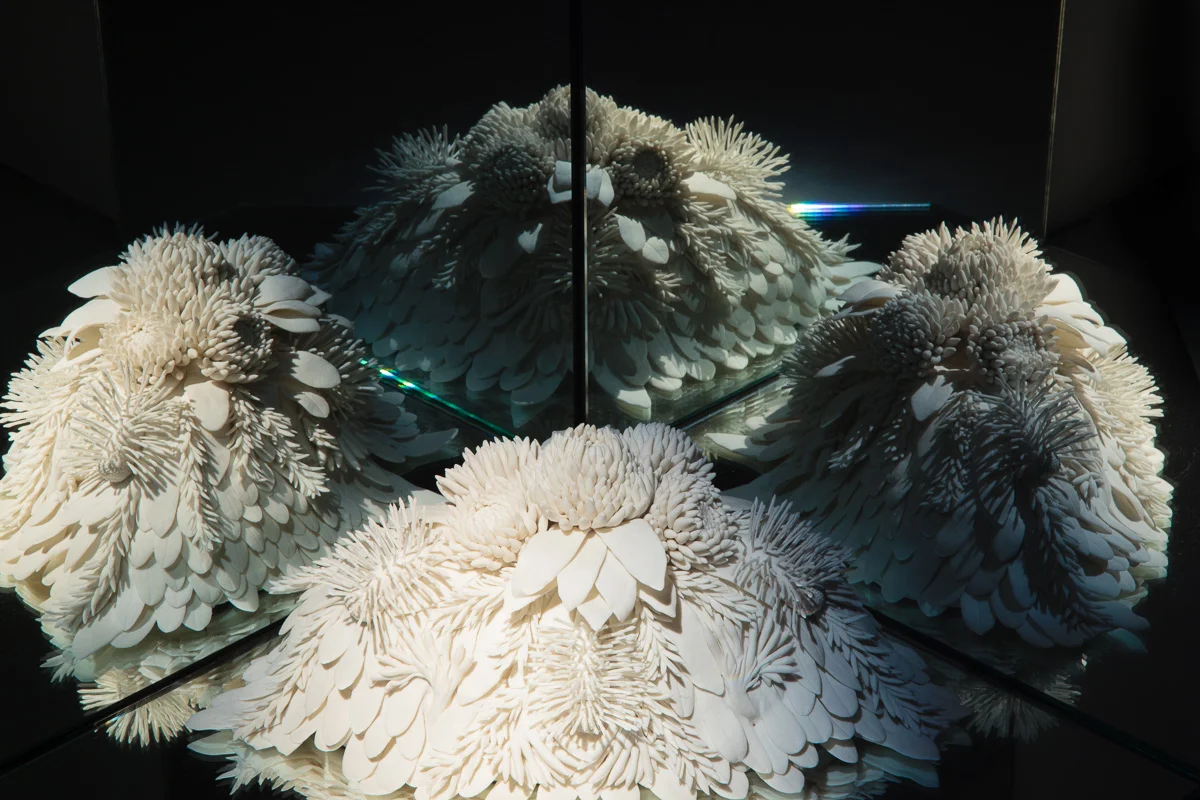 Exhibition image by Docqment Photography. Courtesy of the artist and Chalk Horse, Sydney