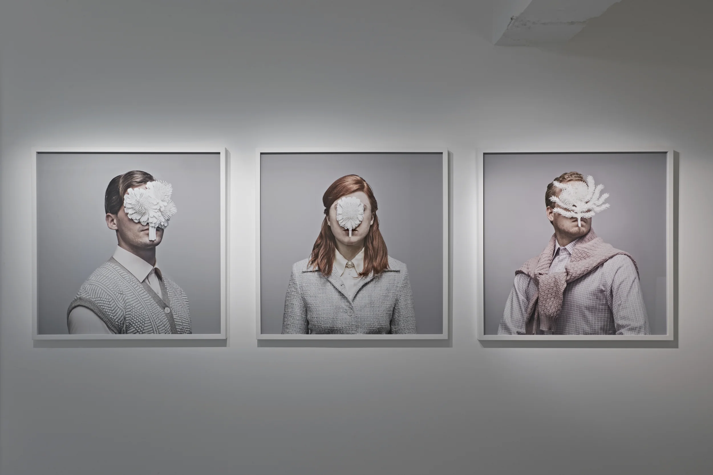 Chalk Horse August 2014_01 copy.jpg