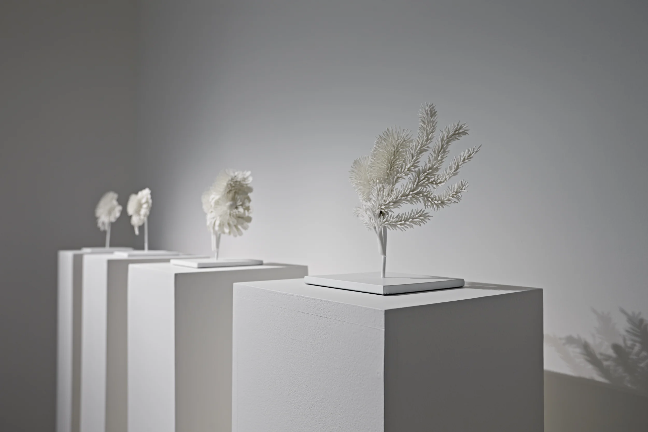 Chalk Horse August 2014_03 copy.jpg