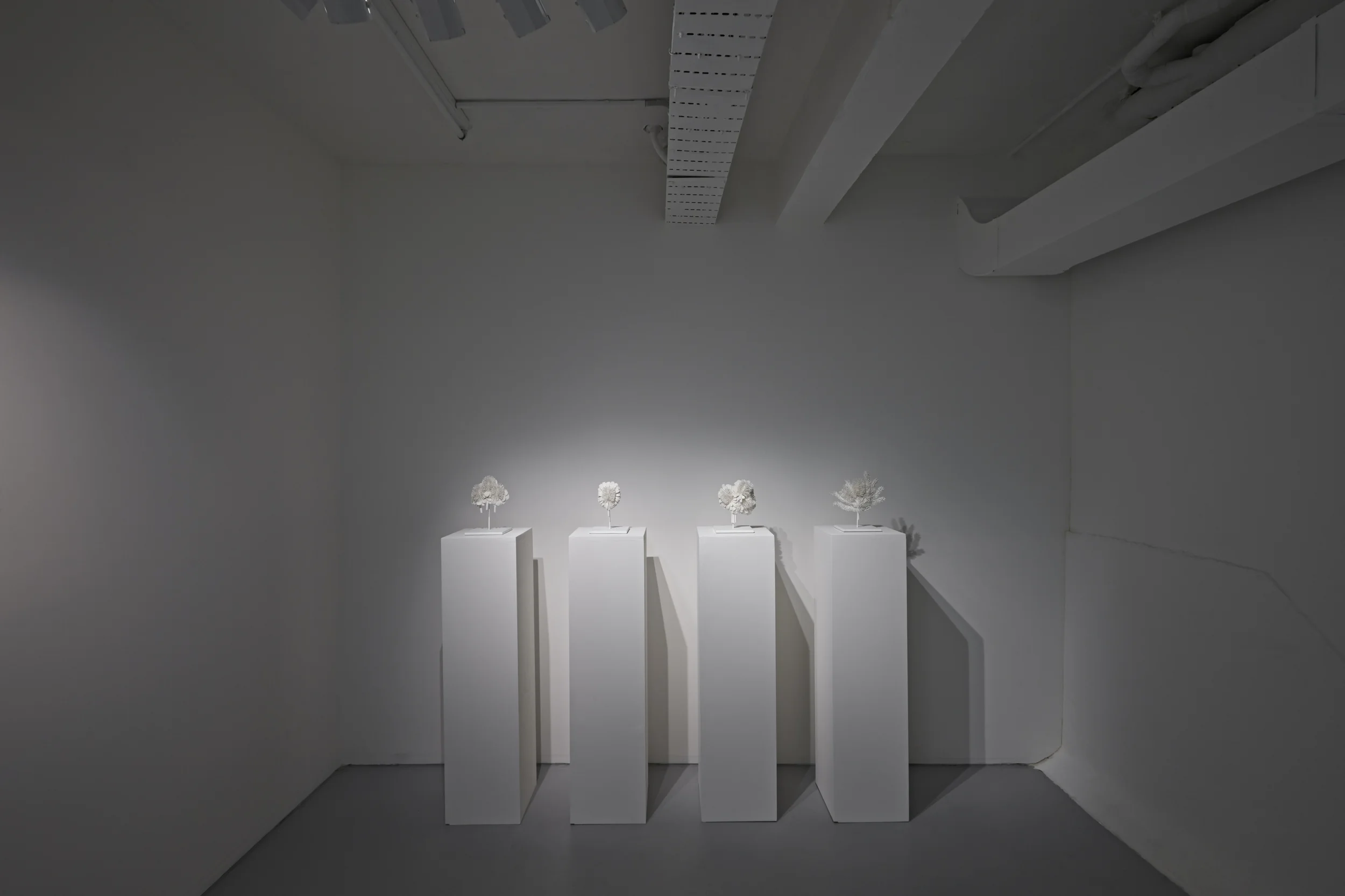  Install shot, Chalk Horse Gallery  Photos by Toby Dixon 