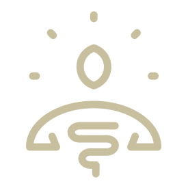 icon_spirit.png
