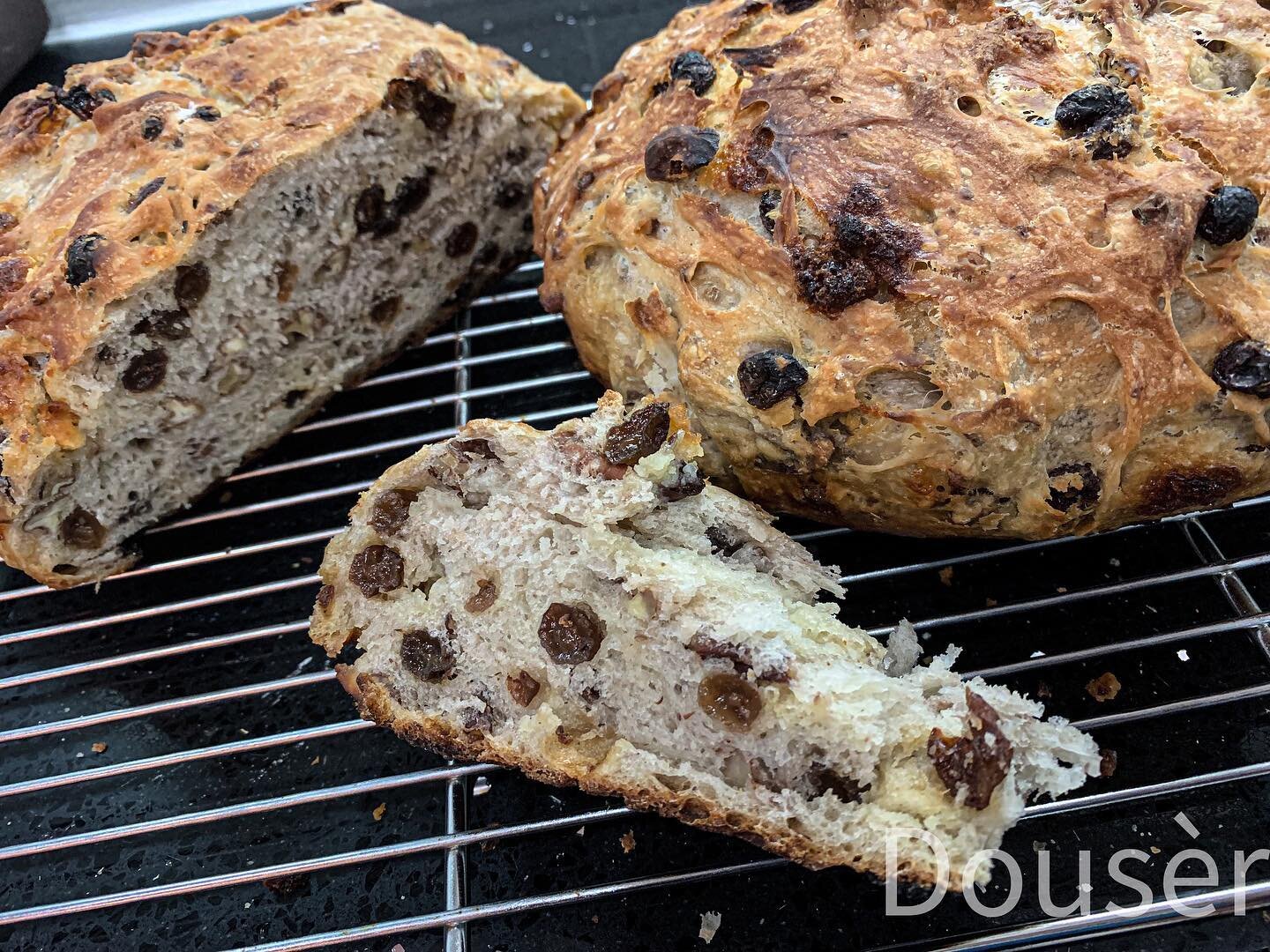 A couple of loaves of raisin pecan white chocolate bread. SO good!
#raisin #raisins #pecan #pecans #whitechocolate #homebaking #homebaker #homebakery #cottagebakery #cottagebaker #cottagefoodbaker #cottagefood #cottagefoodoperation #cottagebakery