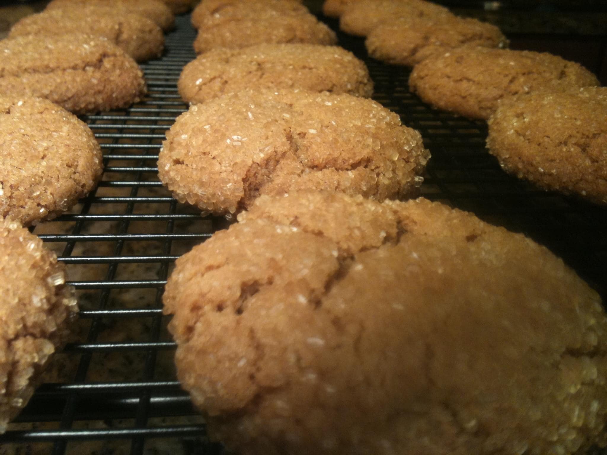 Ginger cookies.jpg