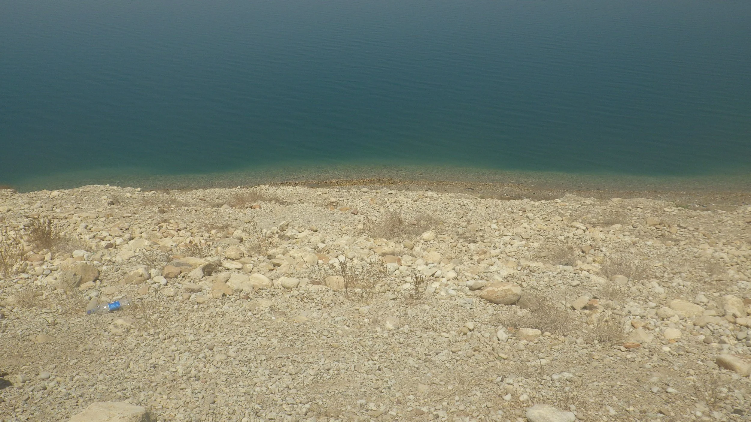 IMGP0159.JPG