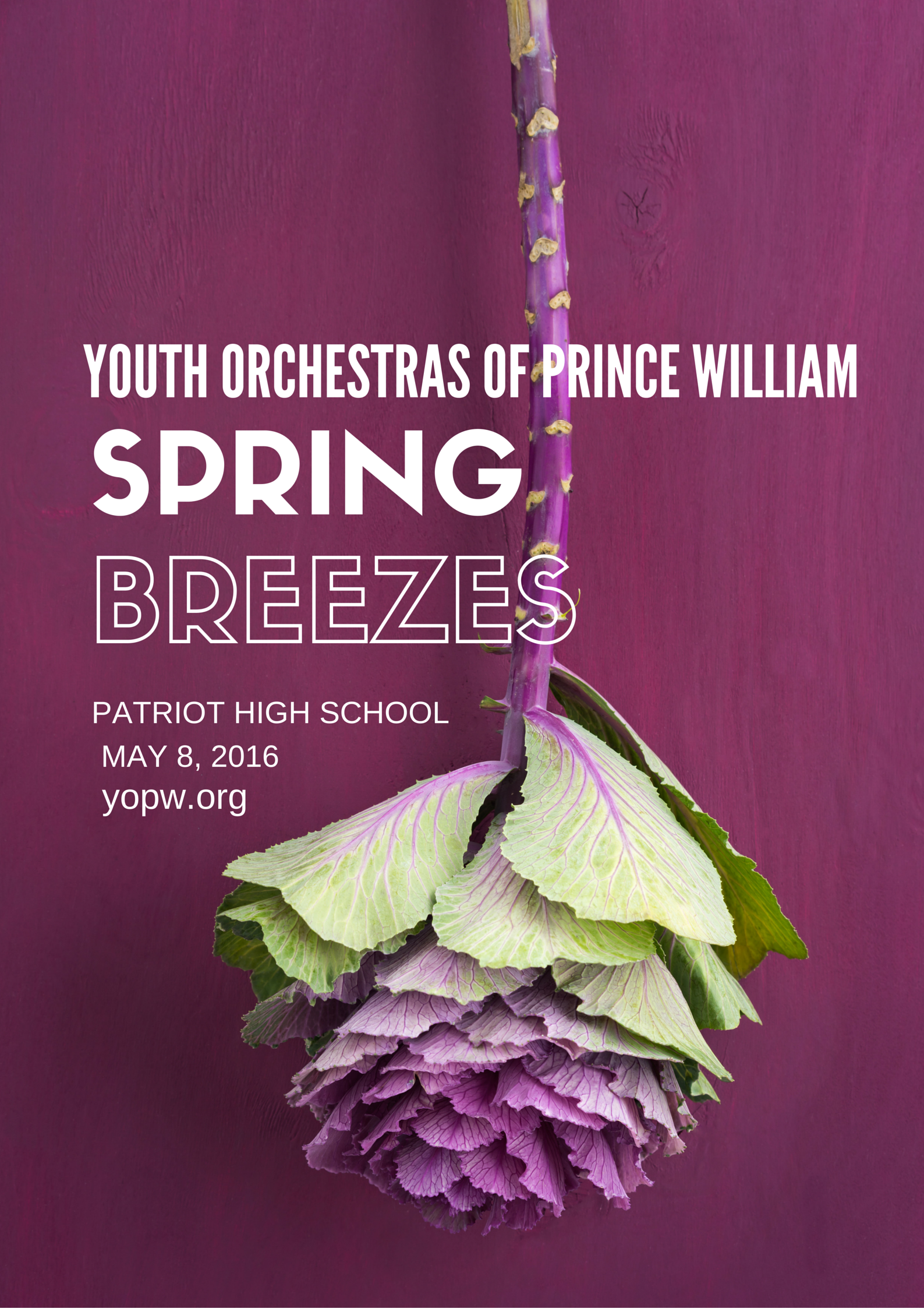 SPRING BREZZES Cd Art 2.png