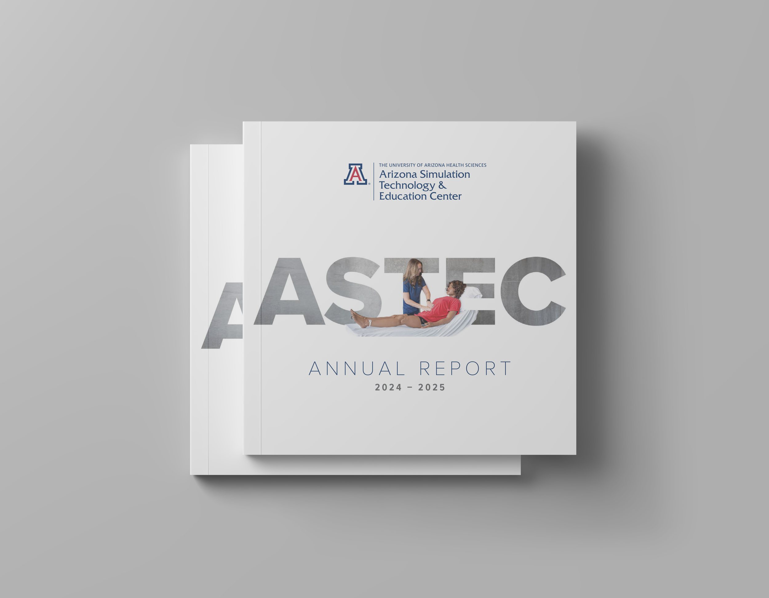 annual report 2c.png