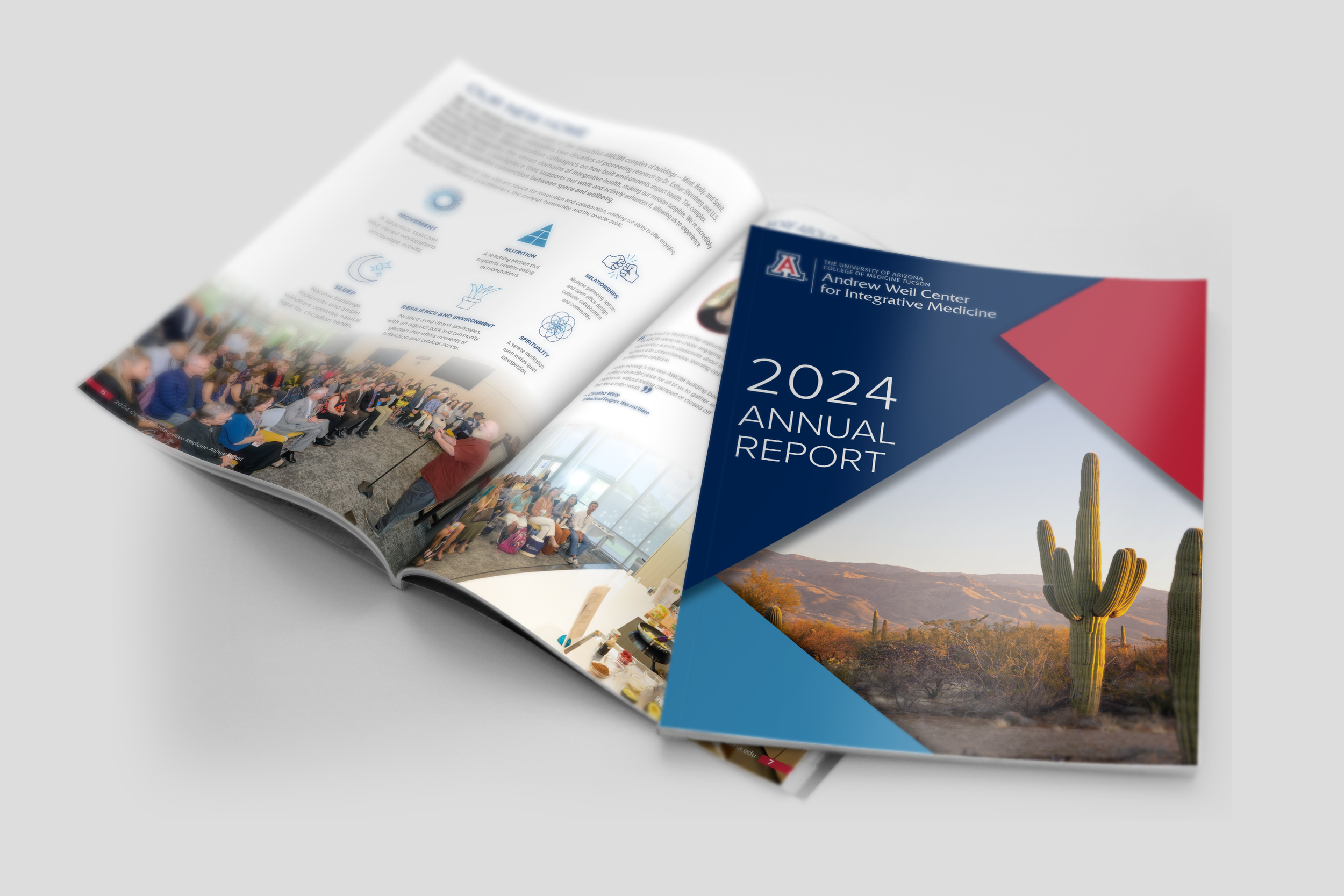annual report 3.png