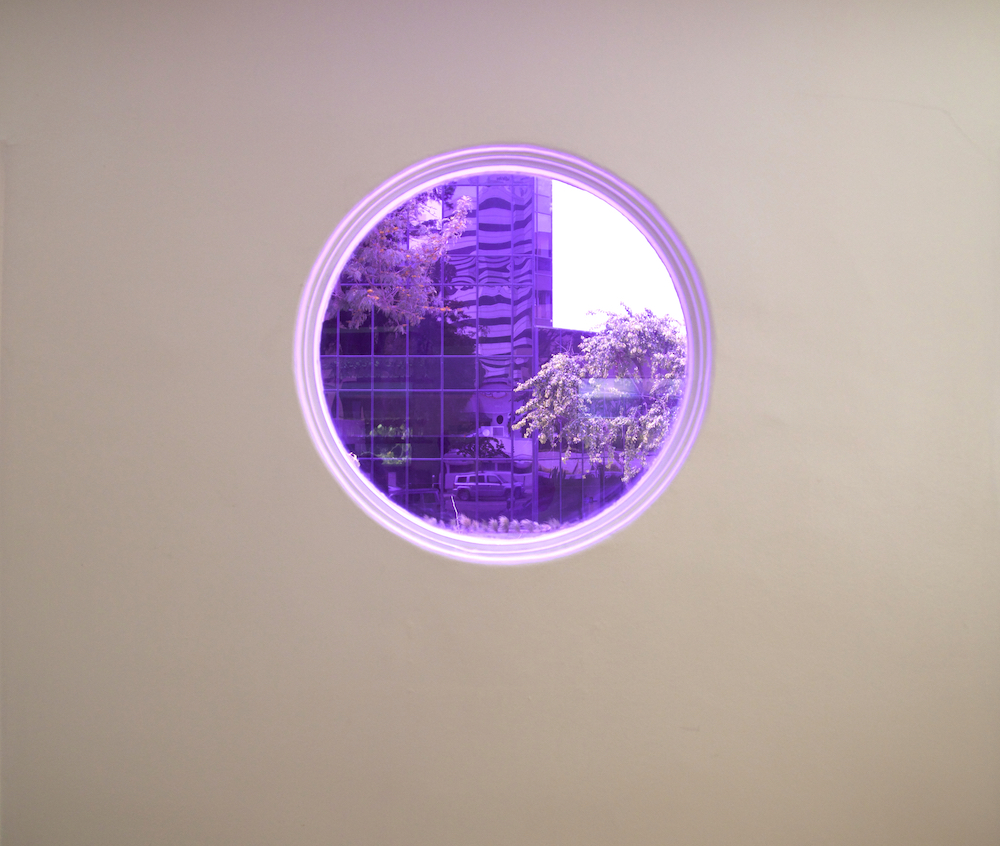 Martine Syms Belief Strategy IX , 2015, Color filter on window, 26 inches in diameter, Edition of 1 plus I AP