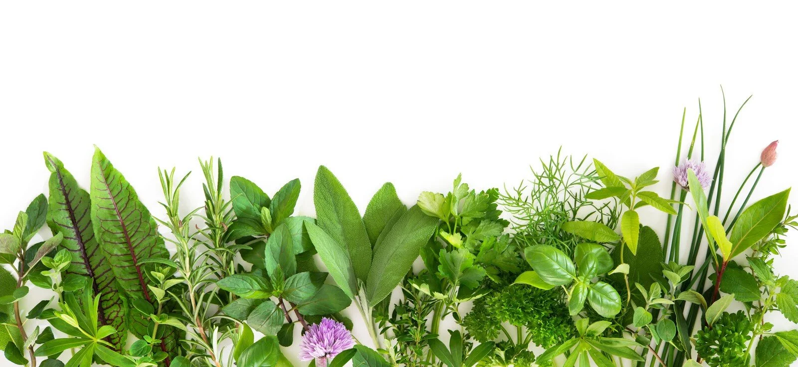 Herbs background landscape_flipped.jpg