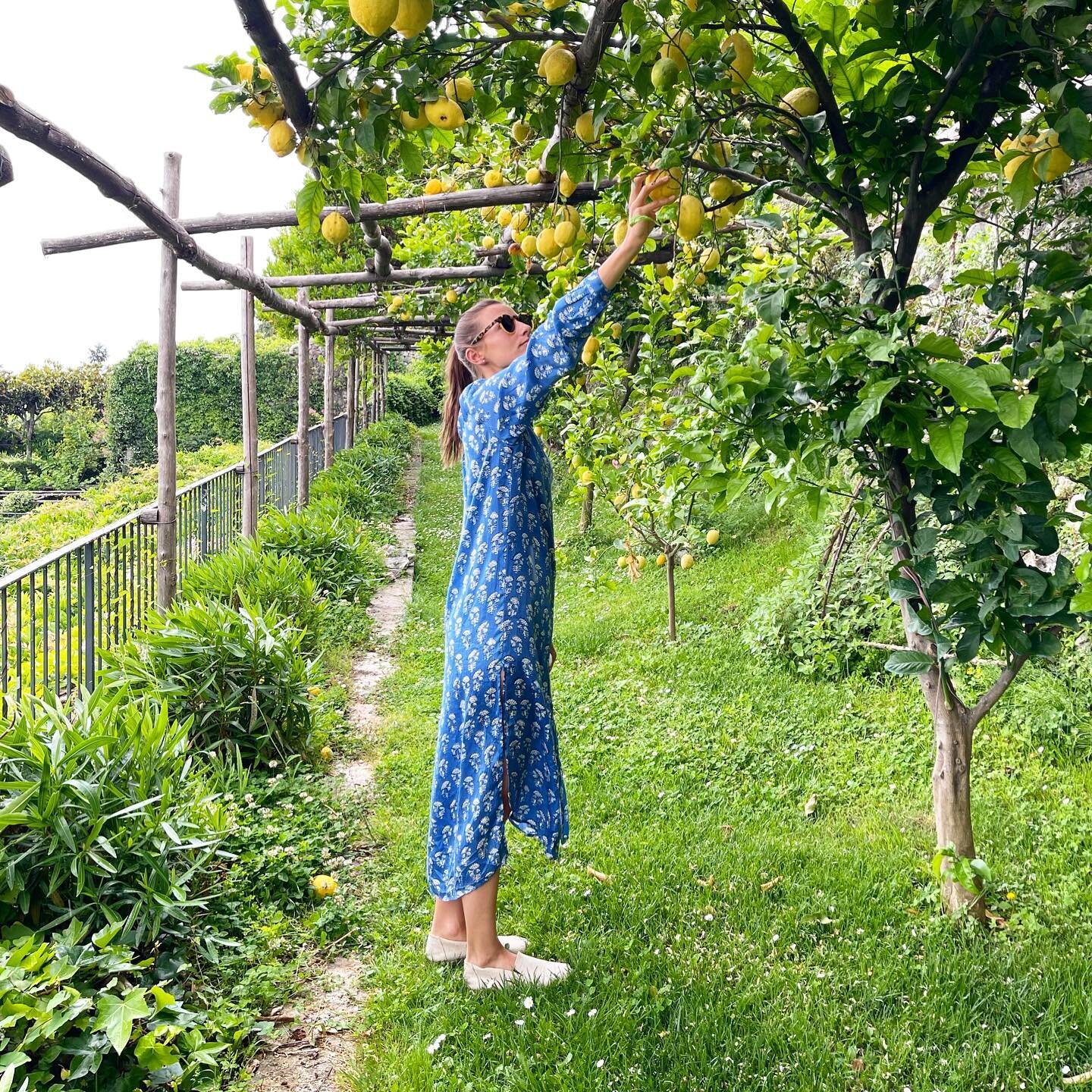 🍋 lemon picking in @vitalexishop

&bull;
&bull;
&bull;
&bull;
&bull;
#shoes #espadrilles #chic #love #followme #fashion #style #cute #comfy #walklikeus #social #entrepreneur #travel #smallbiz #instagood #beautiful #happy #art  #business #vitalexi #h