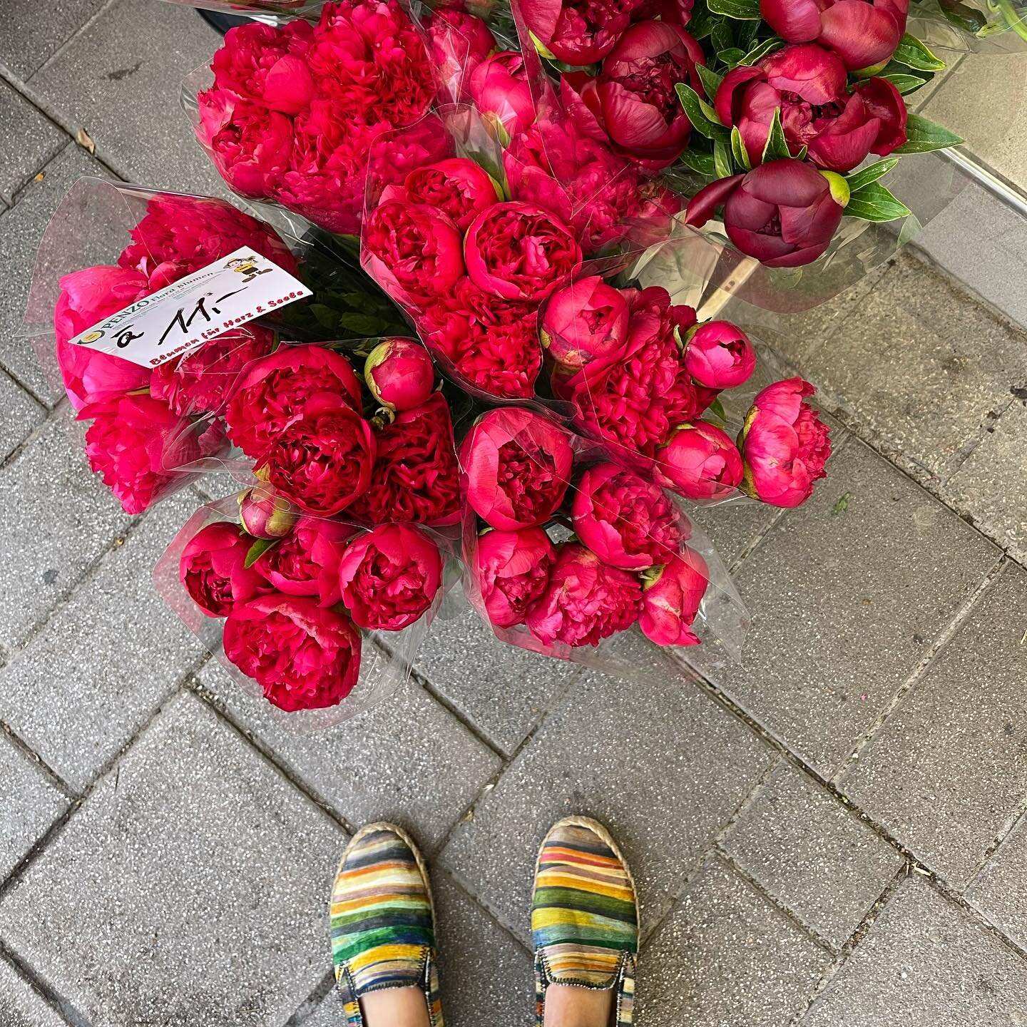 Peony season = Vitalexi season ❤️

&bull;
&bull;
&bull;
&bull;
&bull;
#shoes #espadrilles #chic #love #followme #fashion #style #cute #comfy #walklikeus #social #entrepreneur #travel #smallbiz #instagood #beautiful #happy #art  #business #vitalexi #h