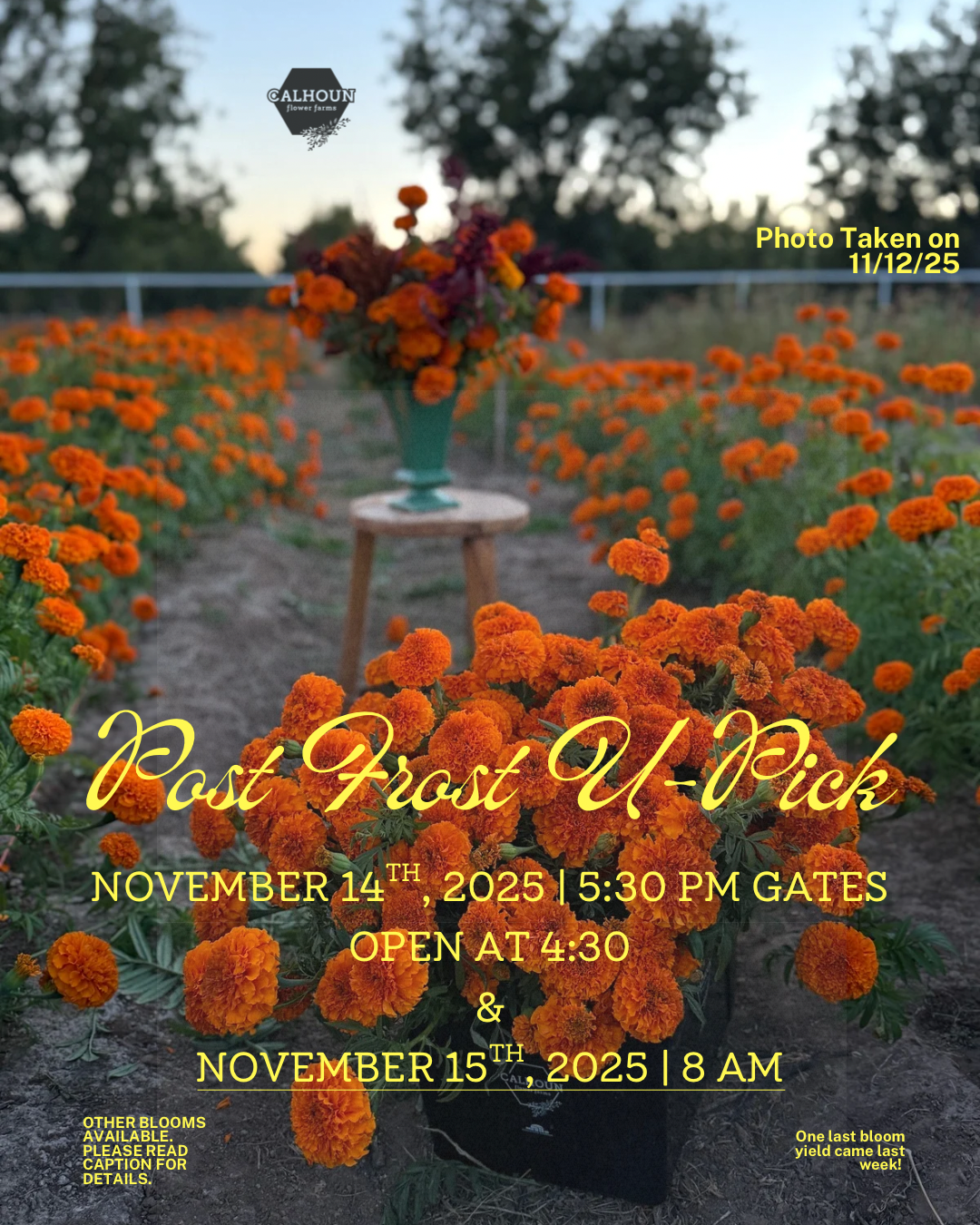 Post Frost UPick 