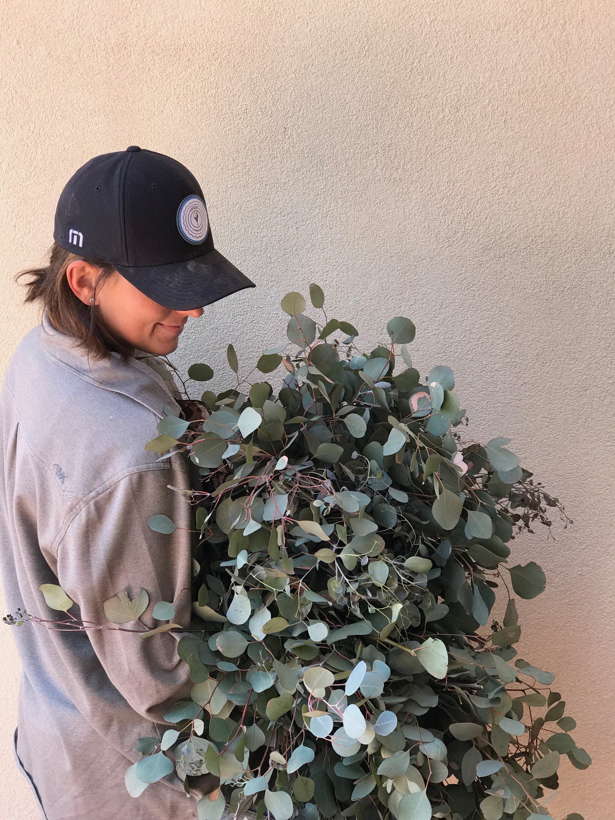 Eucalyptus U - Pick 