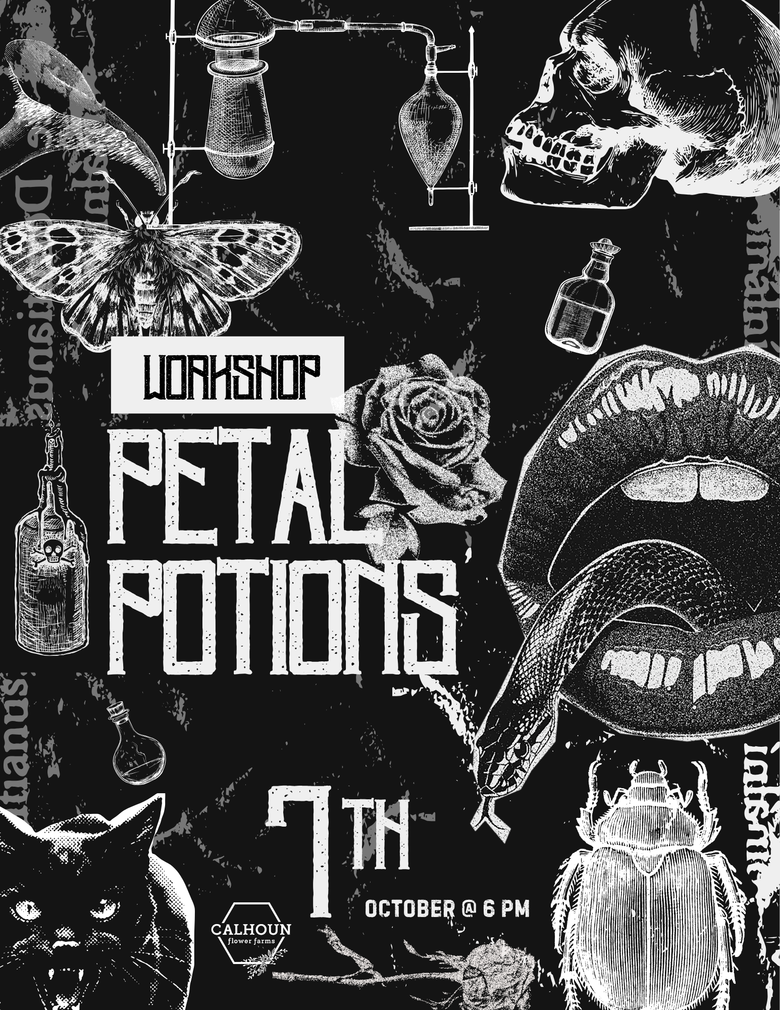 Petal Potions Party 