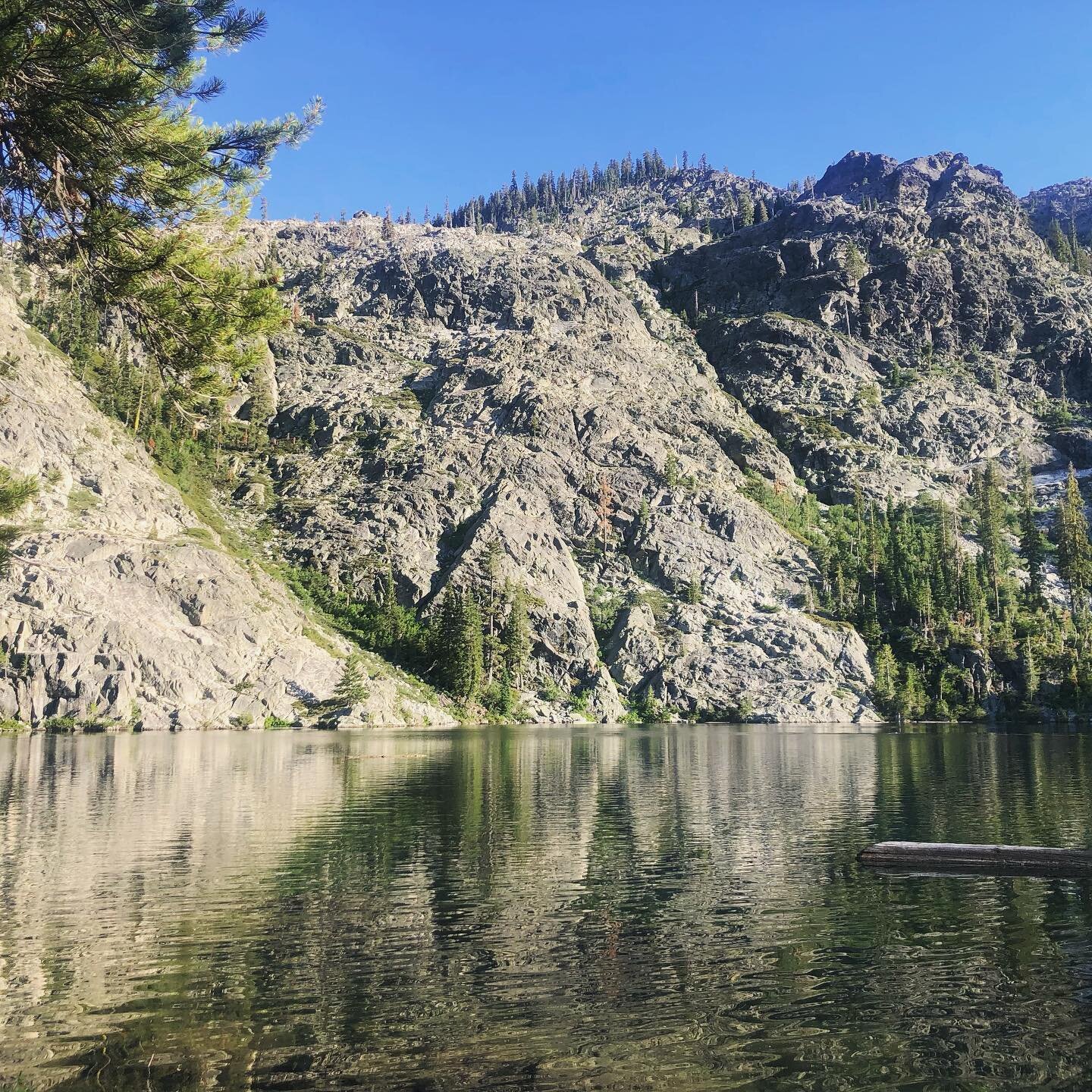 SUMMER SWIMMING SERENITY &bull; &ldquo;The human soul is hungry for beauty&hellip; Beauty brings a sense of completion and sureness. Without any of the usual calculation, we can slip into the Beautiful with the same ease as we slip into the seamless 