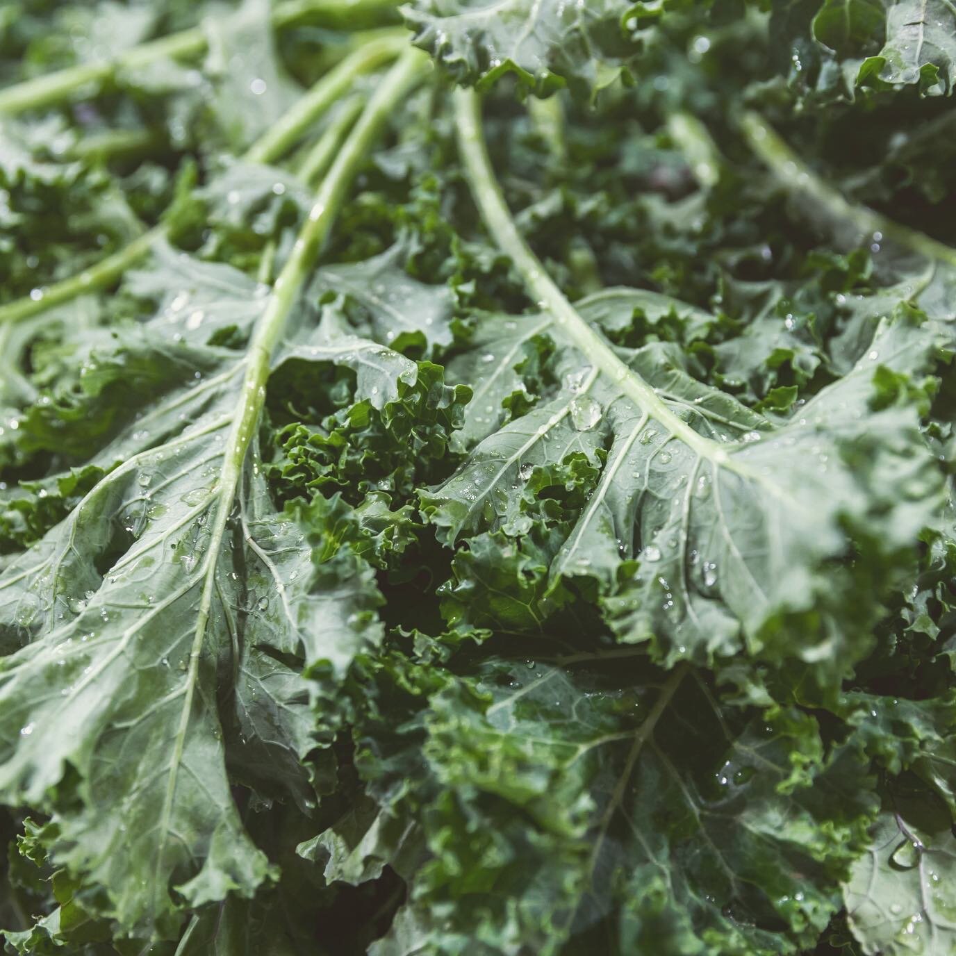 THALLIUM IN KALE 🥬🙀I didn&rsquo;t know until recently that commercially-grown kale - even organic - can be massively contaminated with thallium, a neurotoxic heavy metal! Thallium is more toxic than lead, mercury, cadmium and arsenic, and is a nast