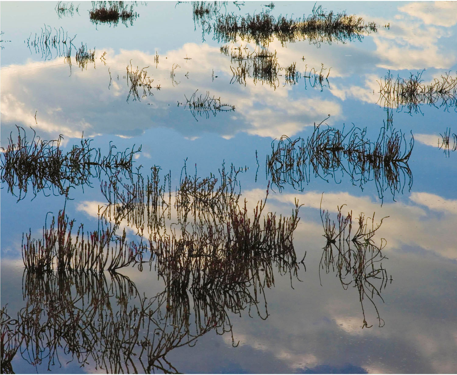 Floating Clouds: Mallacoota, Victoria, 2009