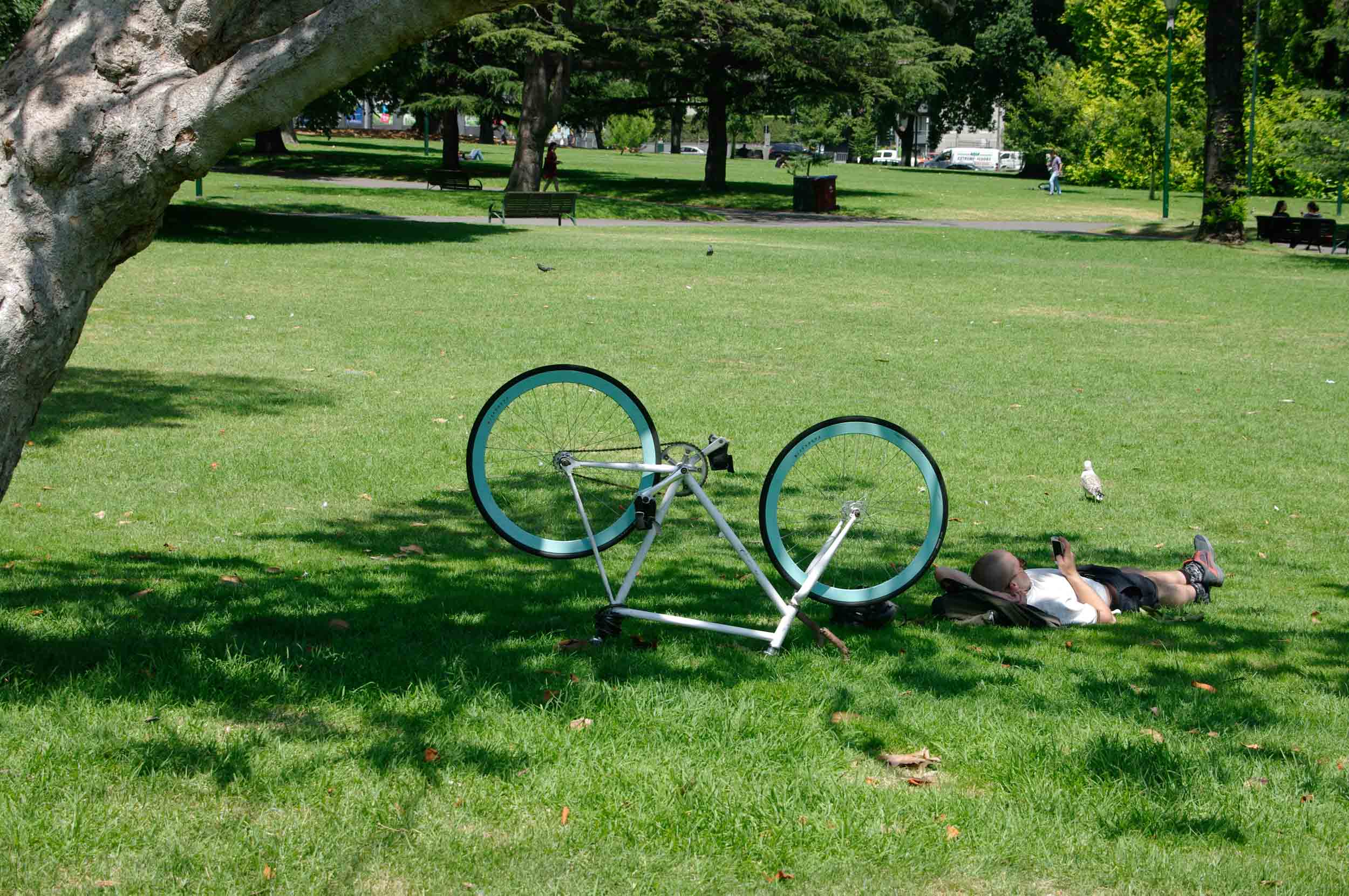 Time Out: Exhibition Gardens, Melbourne, 2014