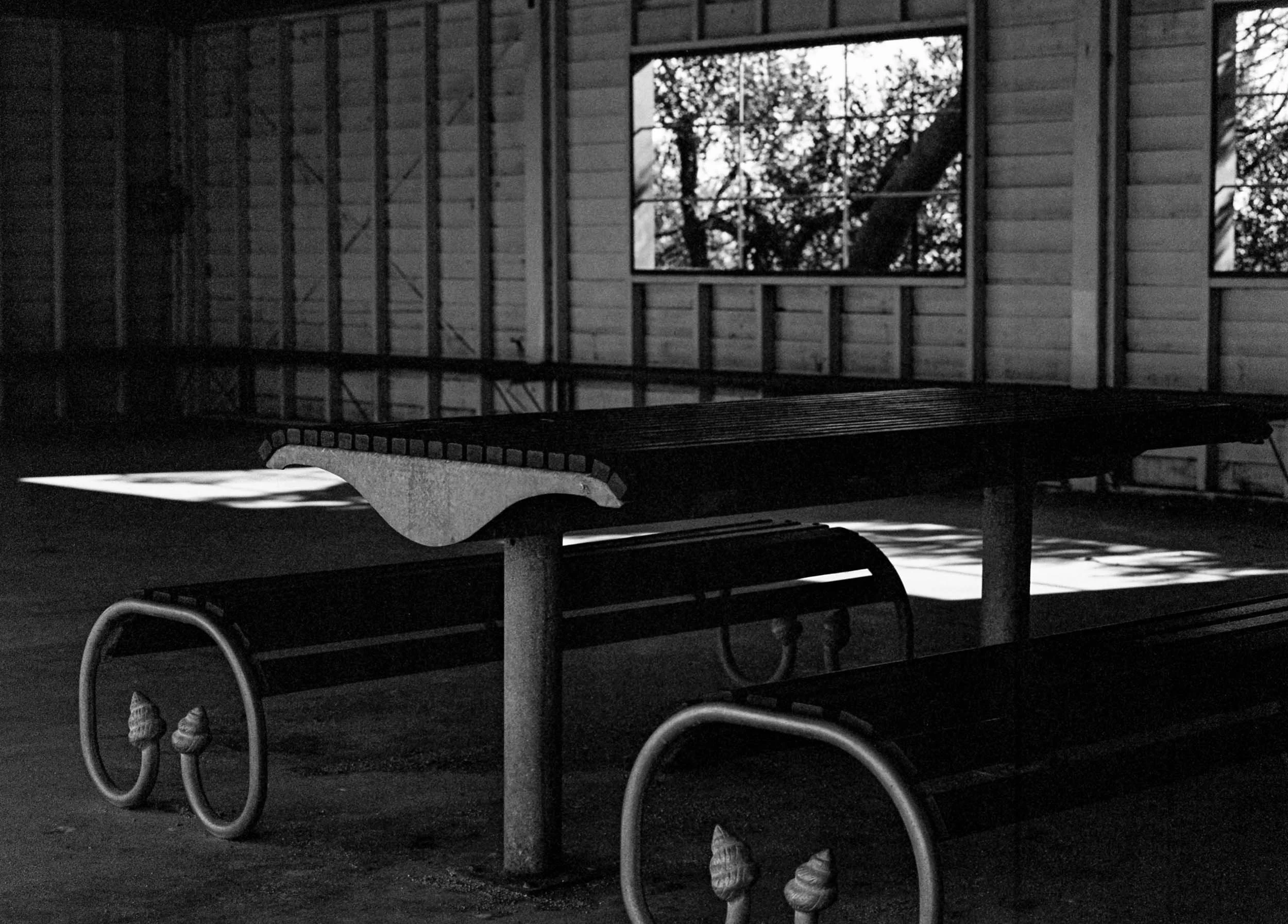   Late afternoon shed table: Hampton, Victoria, 2026.  