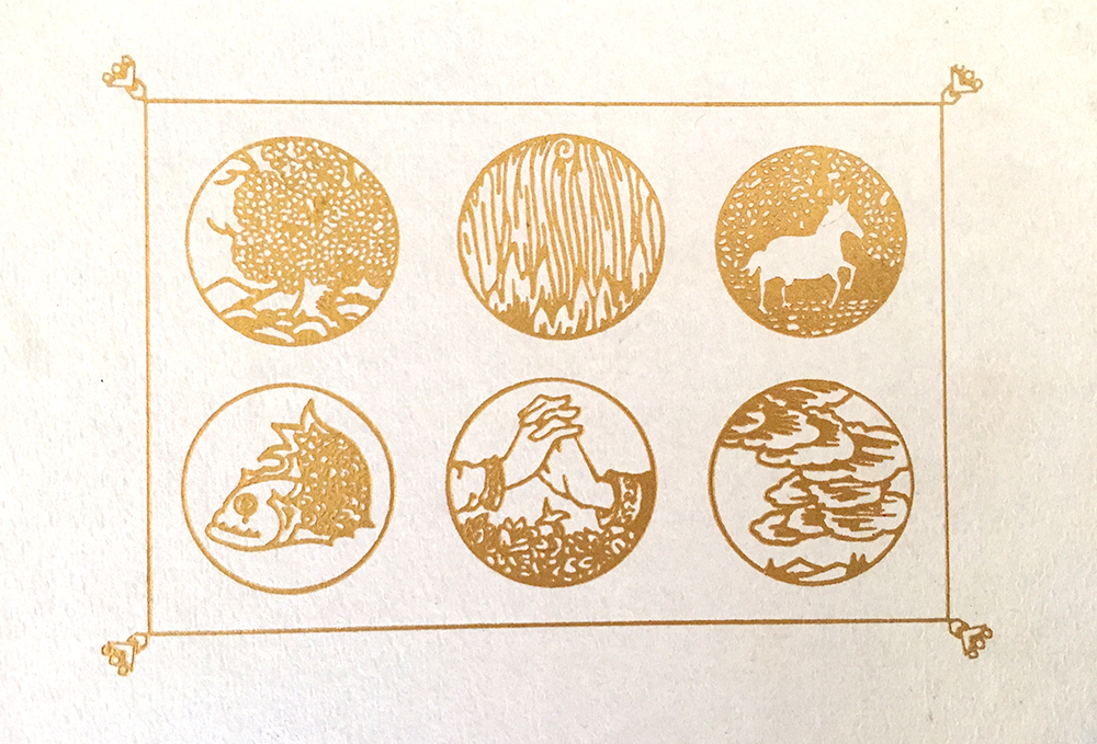 Foil stamped detail on the cover, under the jacket.
