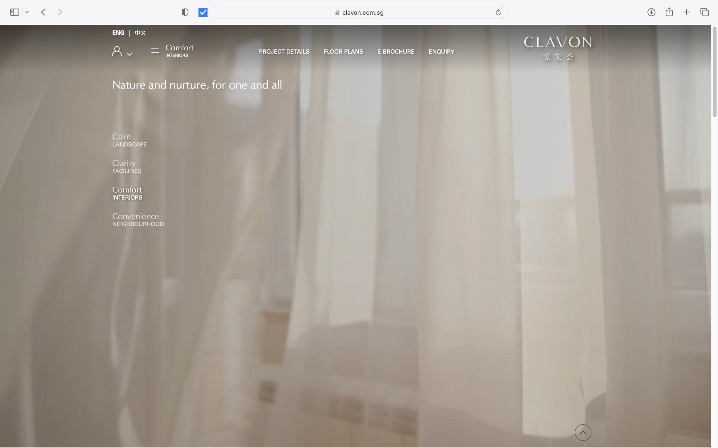 clavon-4.jpg