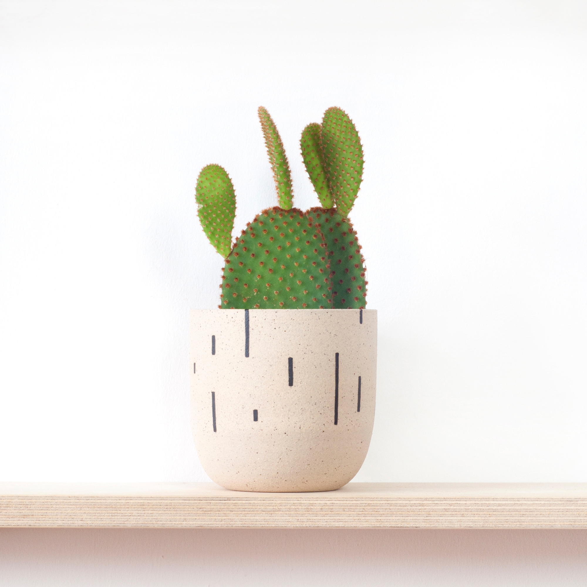 5-plantpot-tillyhemingway-web.jpg