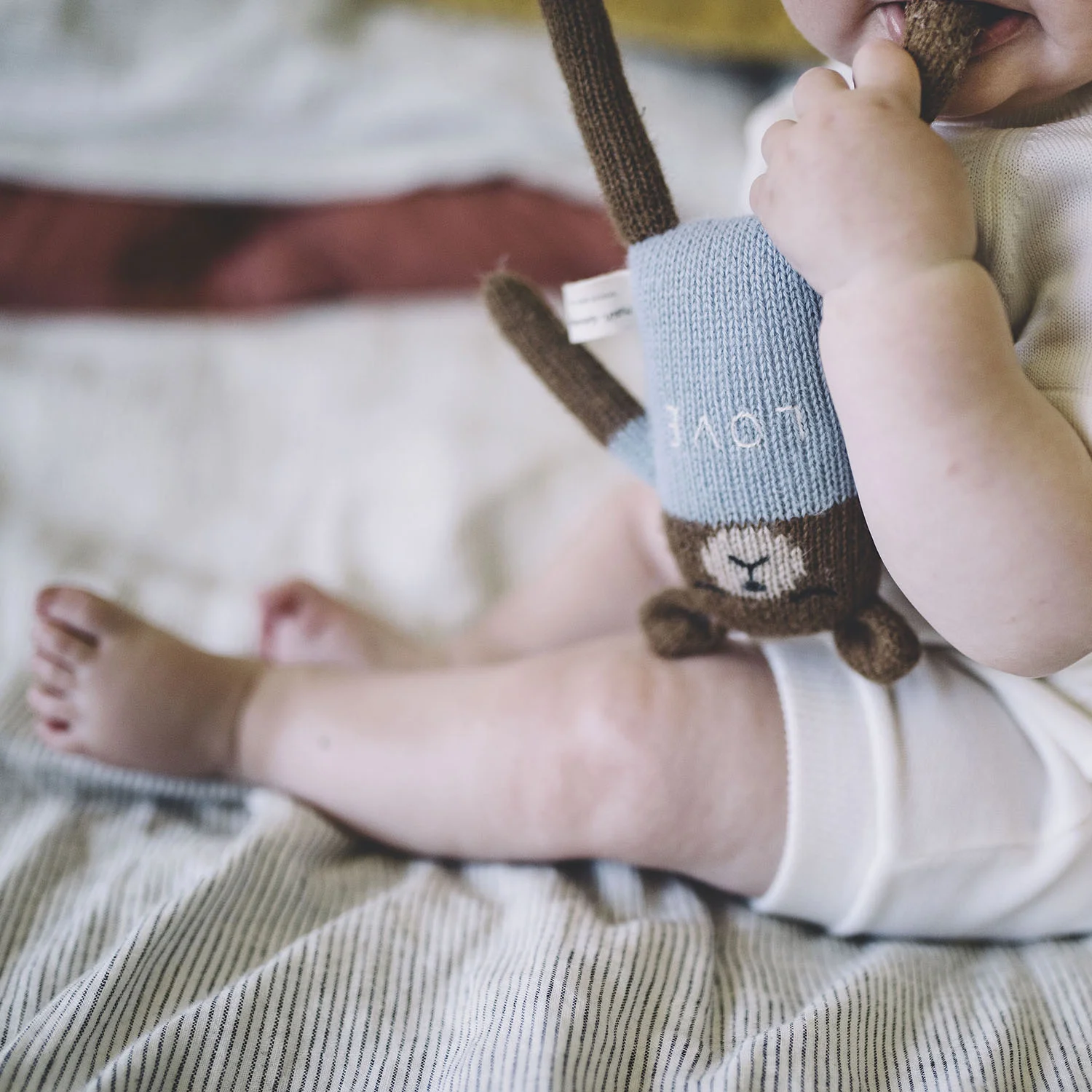 main-sauvage-teddys_5.jpg