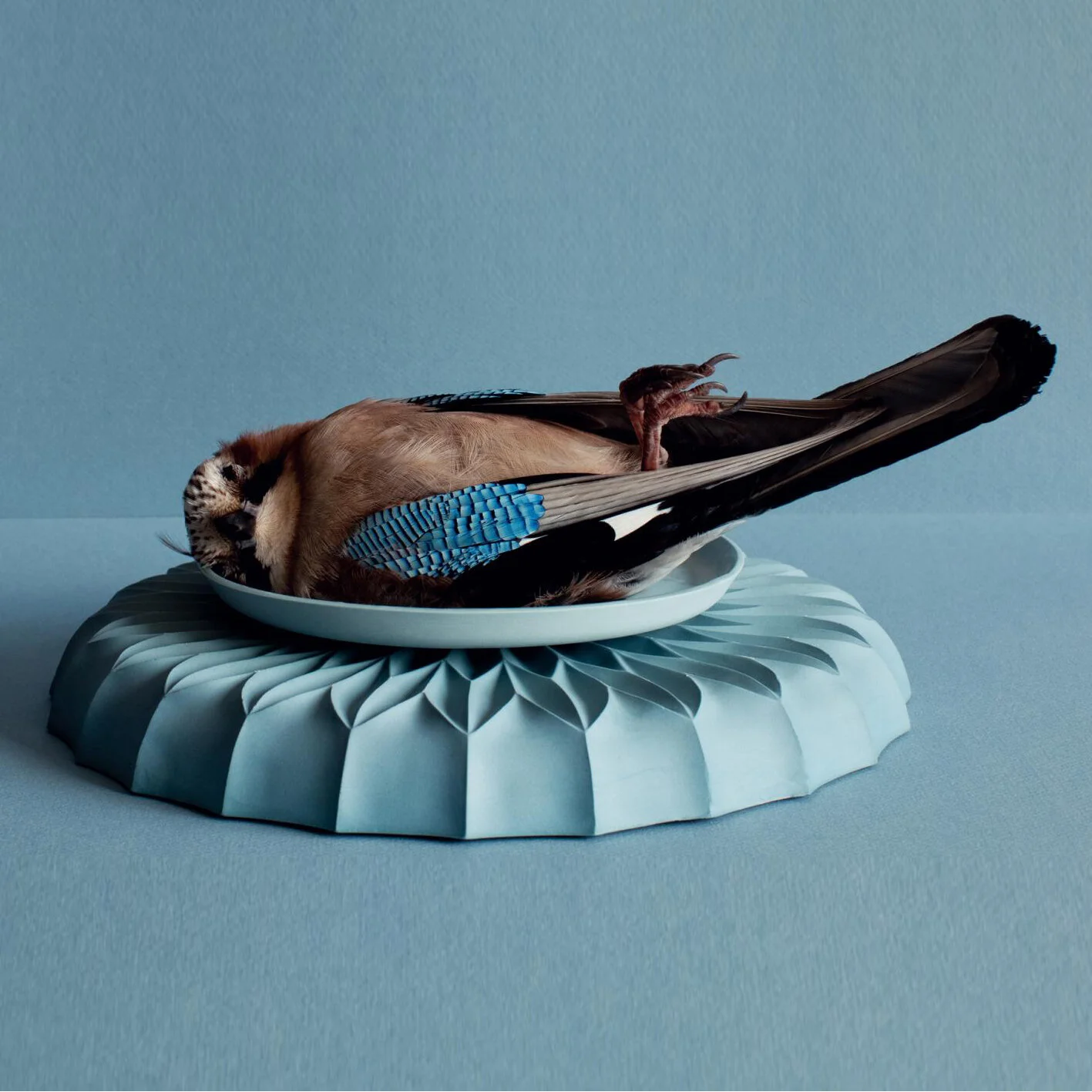 lenneke wispelwey ceramics