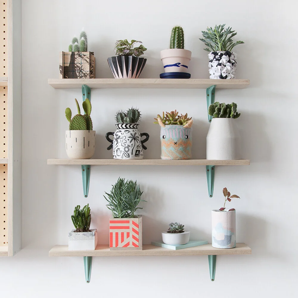 P L A N T  P O T  2 0 1 6