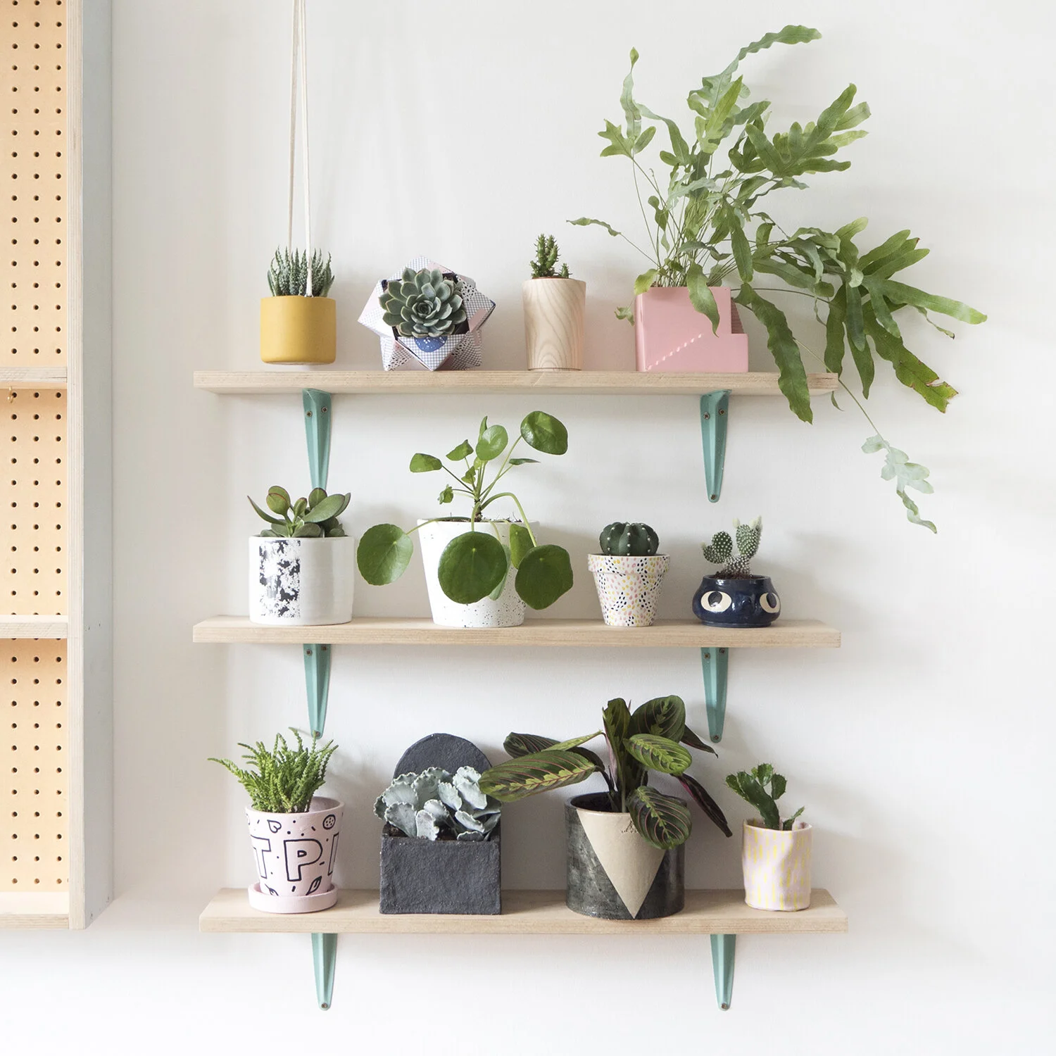 P L A N T  P O T  2 0 1 7