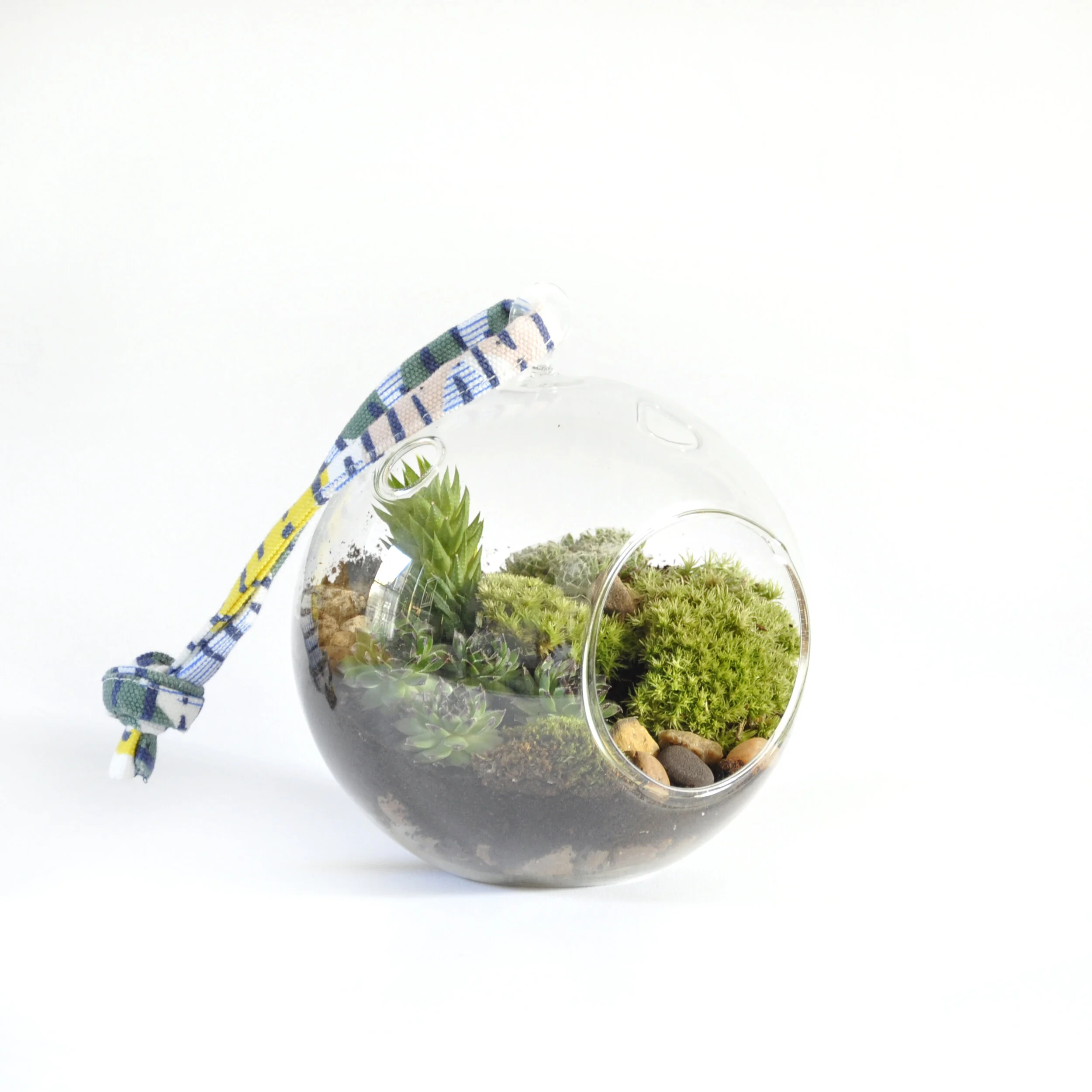 terrarium-1.jpg