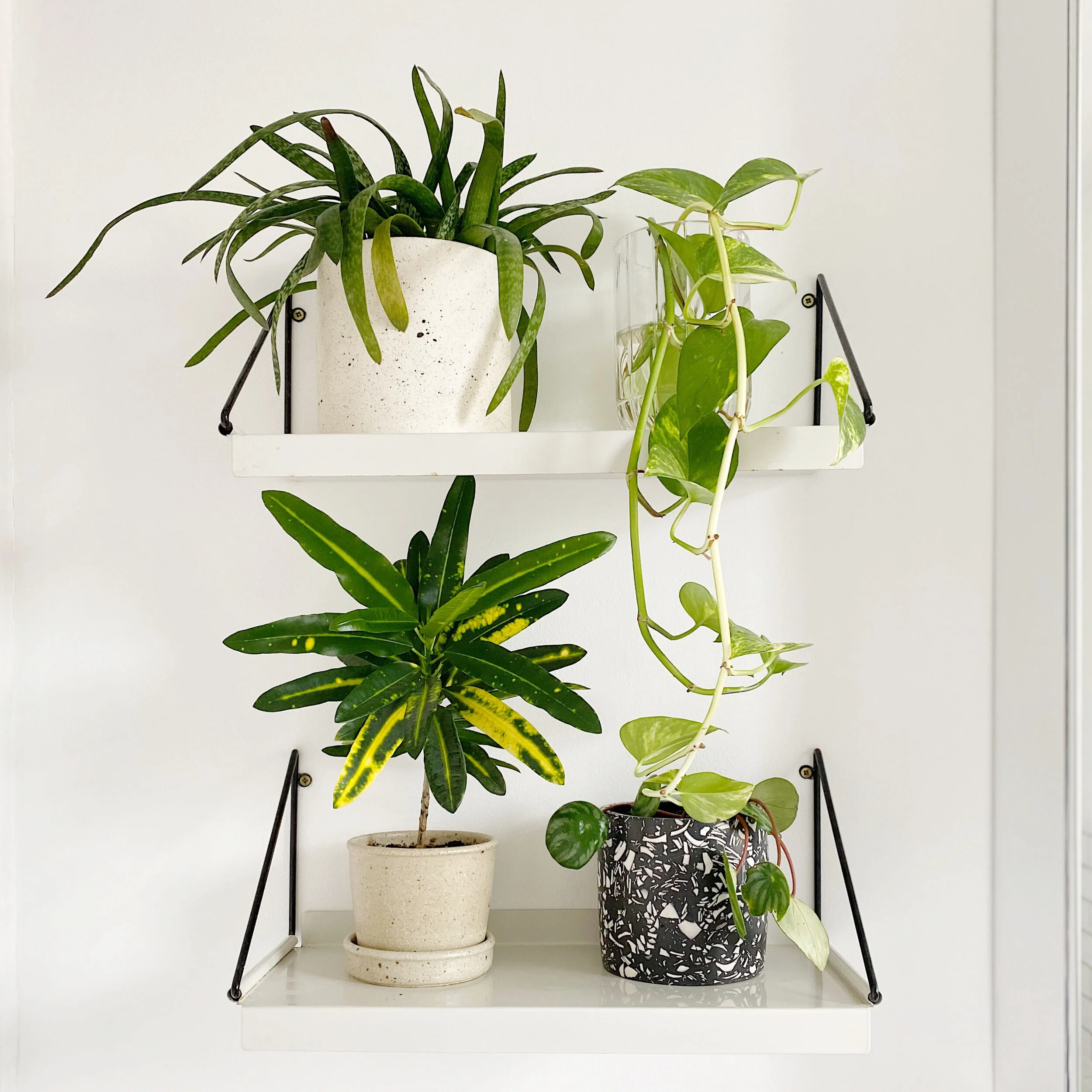 our bathroom mini renovation and restyle