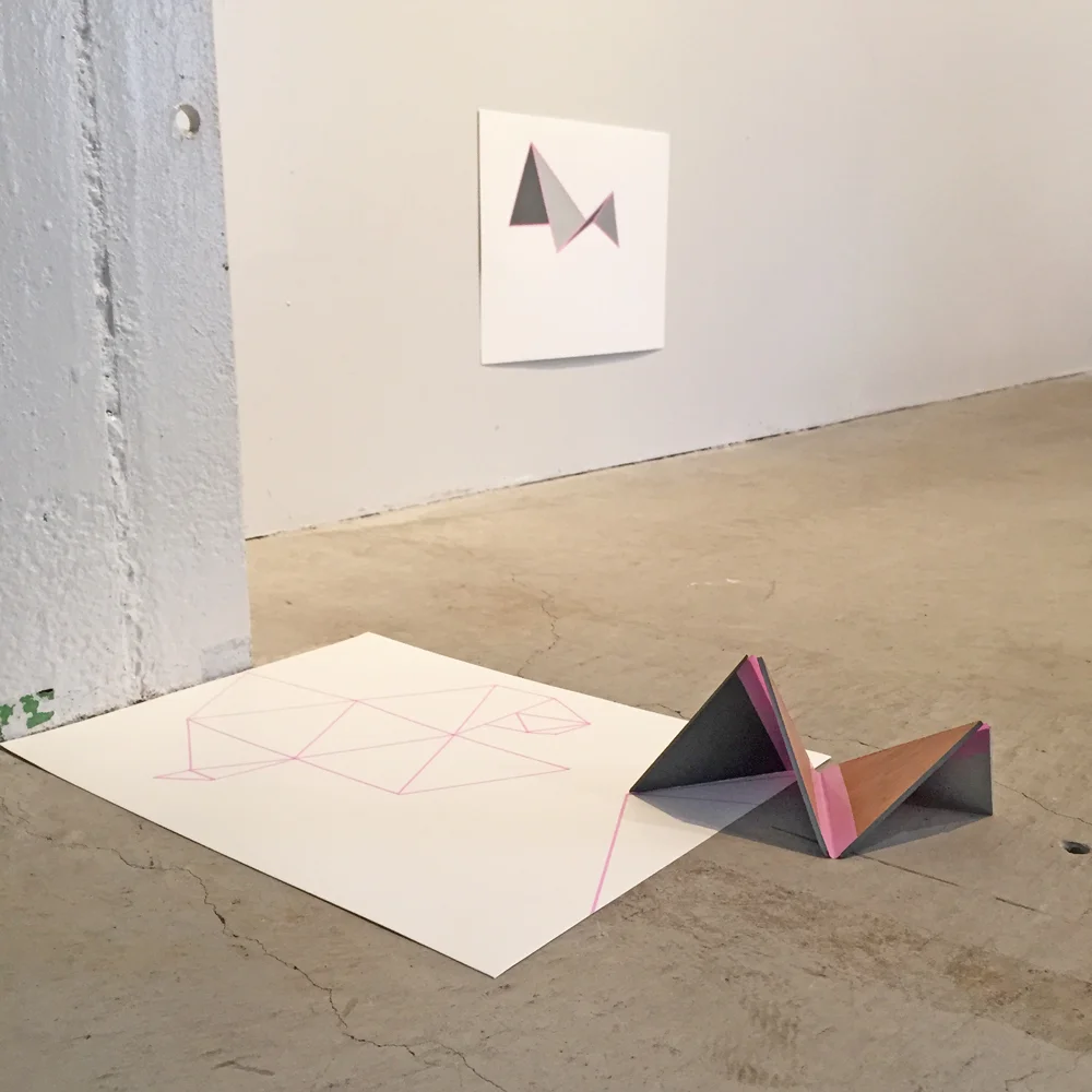 Britt Salt Deployable Forms 2015 1000pw.JPG