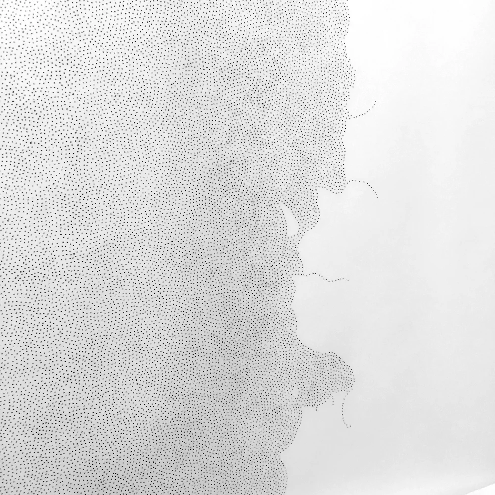 Britt Salt Shark skin 2 2015 1000pw.JPG