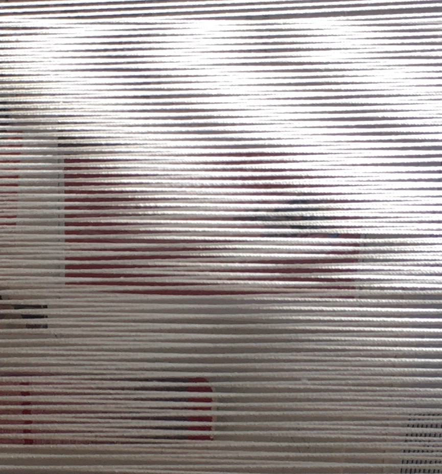 IMG_7125.jpg