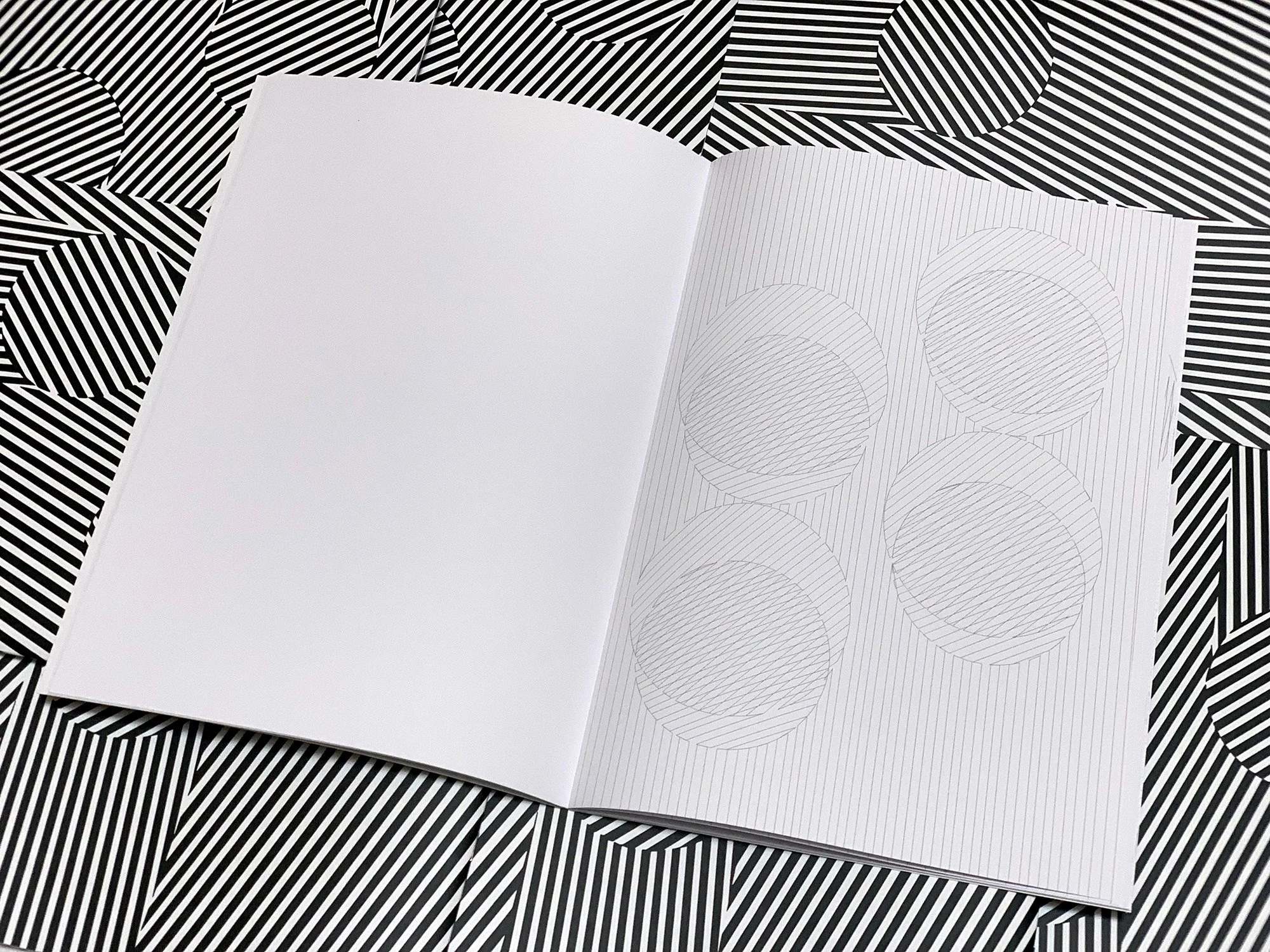 Britt Salt_A Monochrome Colouring Book_2021_inside 8_LR.jpg