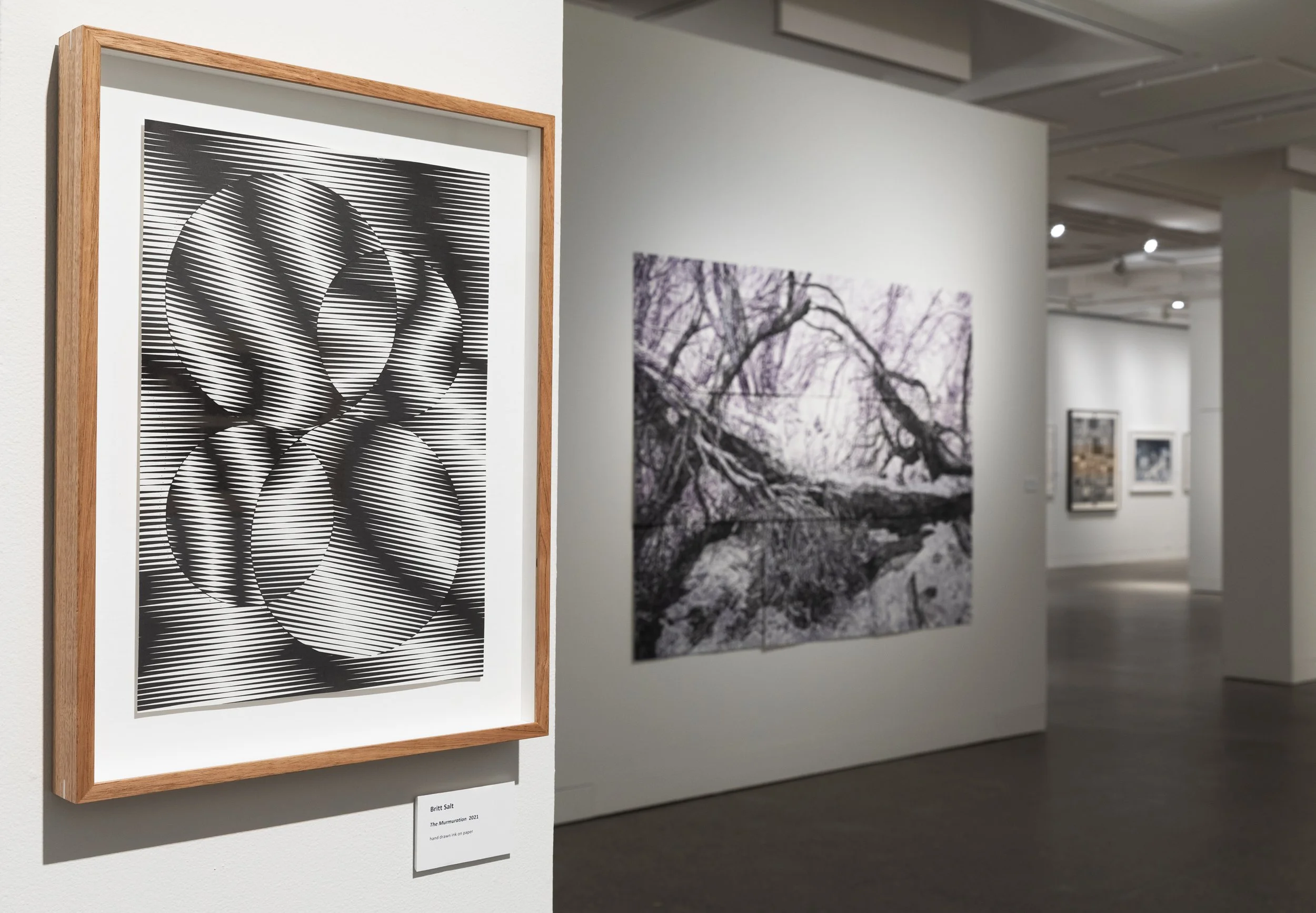 The Murmuration, 2021