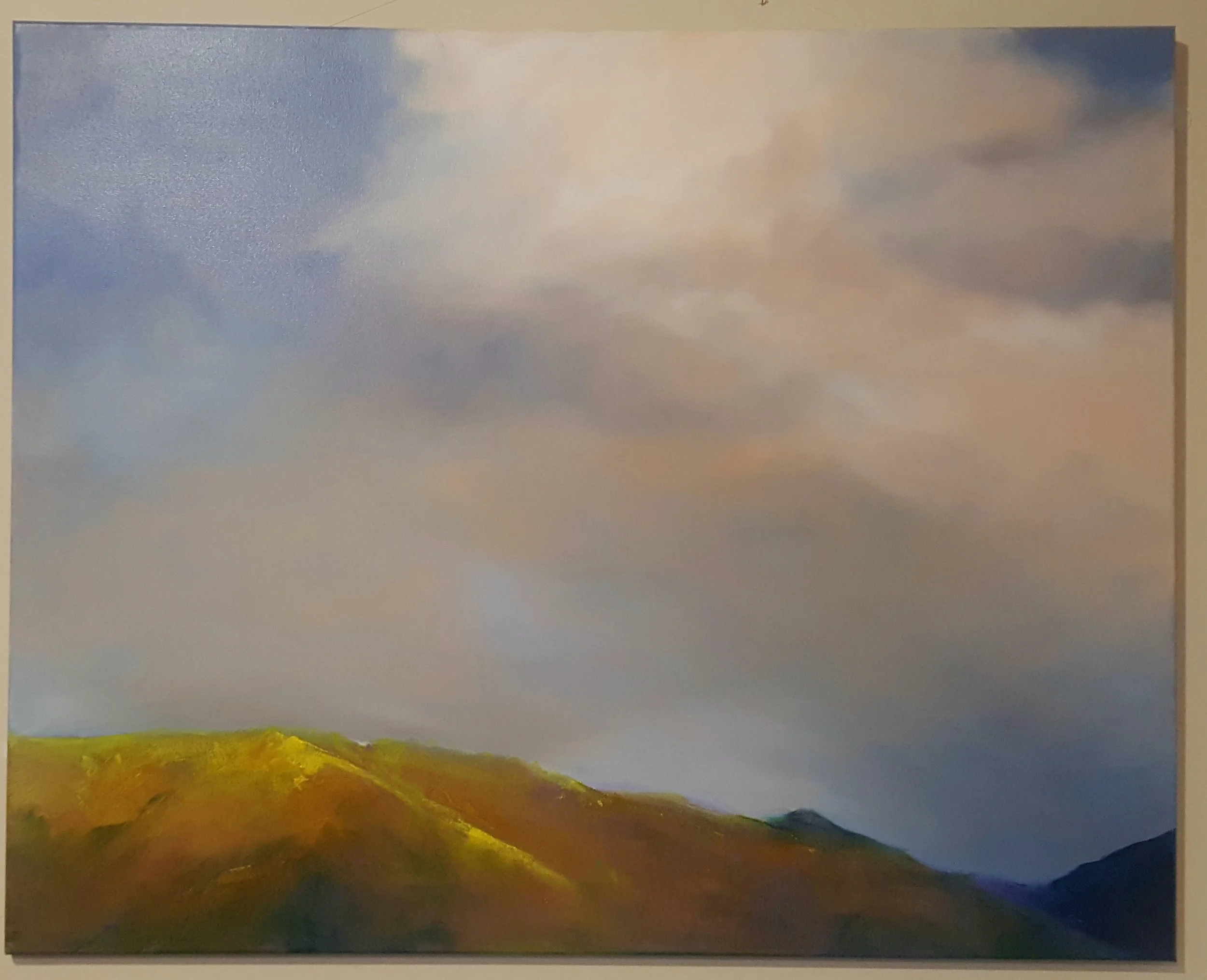 Shimmering gorse at twilight.